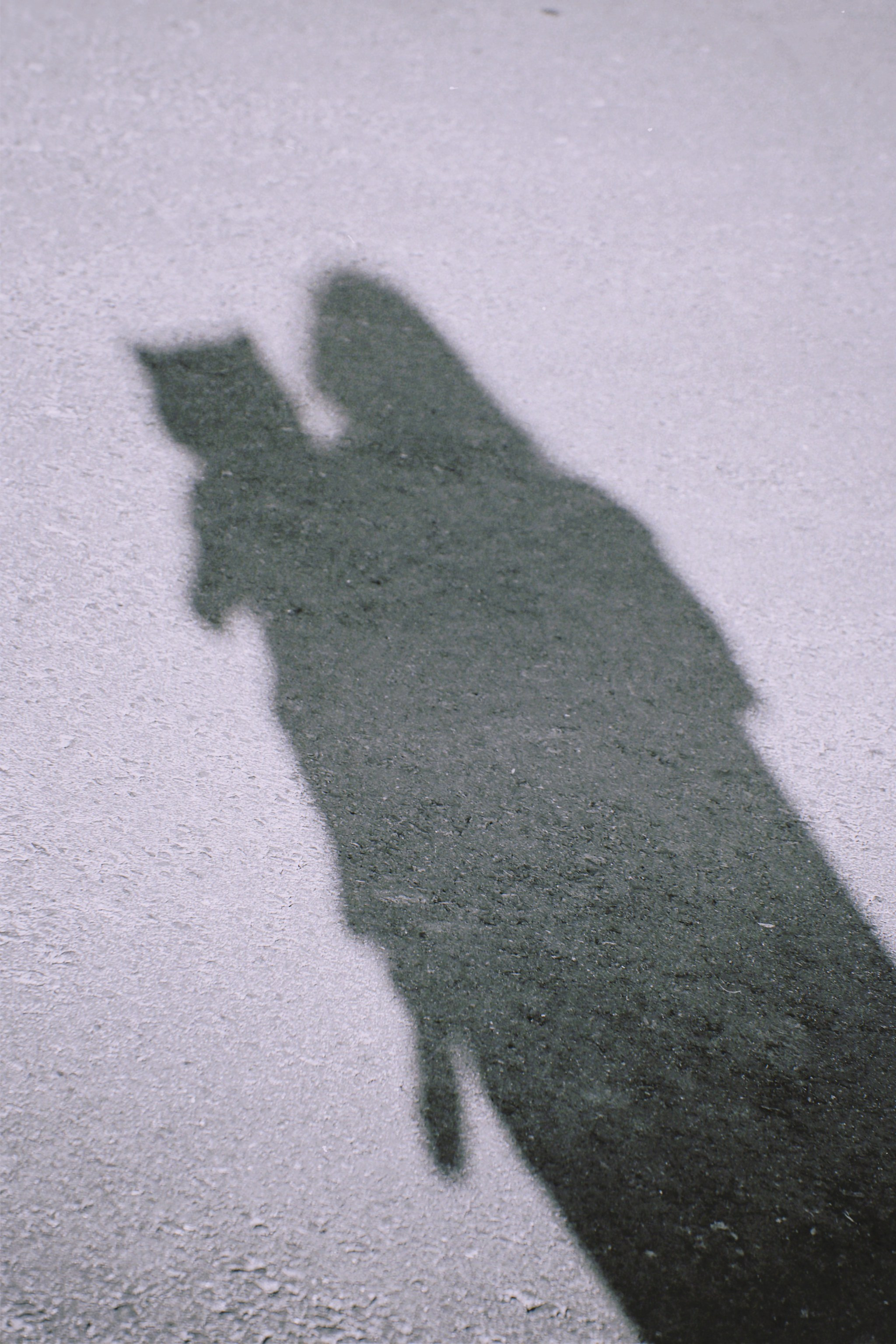 Съемка с Юлей и Макаром. Ирина Чернова — портретный фотограф и маркетолог из Владивостока