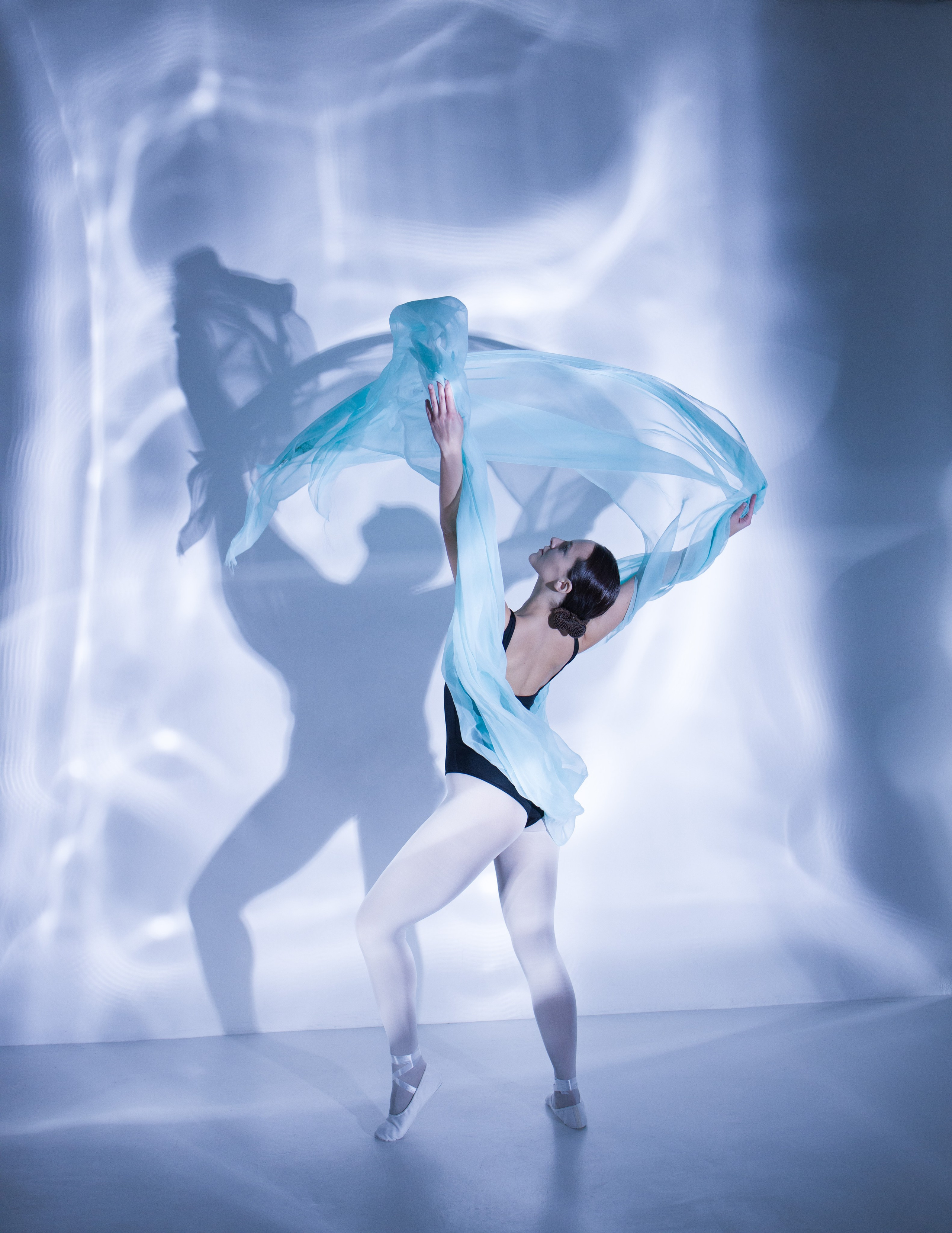 Лилия. Художественная фотография