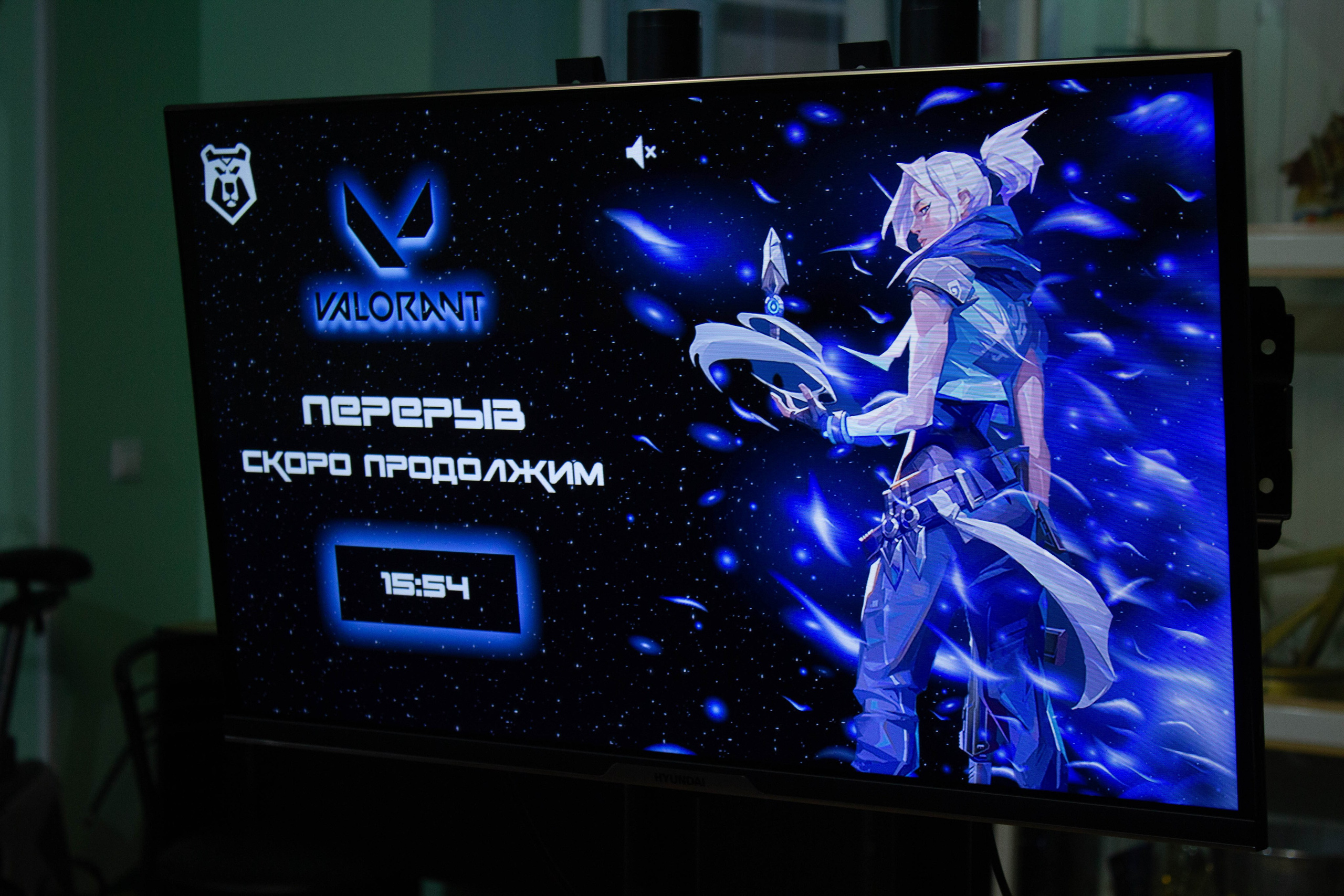 Polycup. Карпогоры, Санкт-Петербург