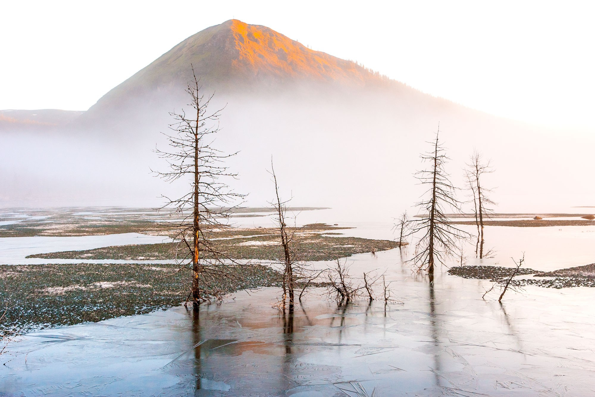Свадебный фотограф в Геленджике