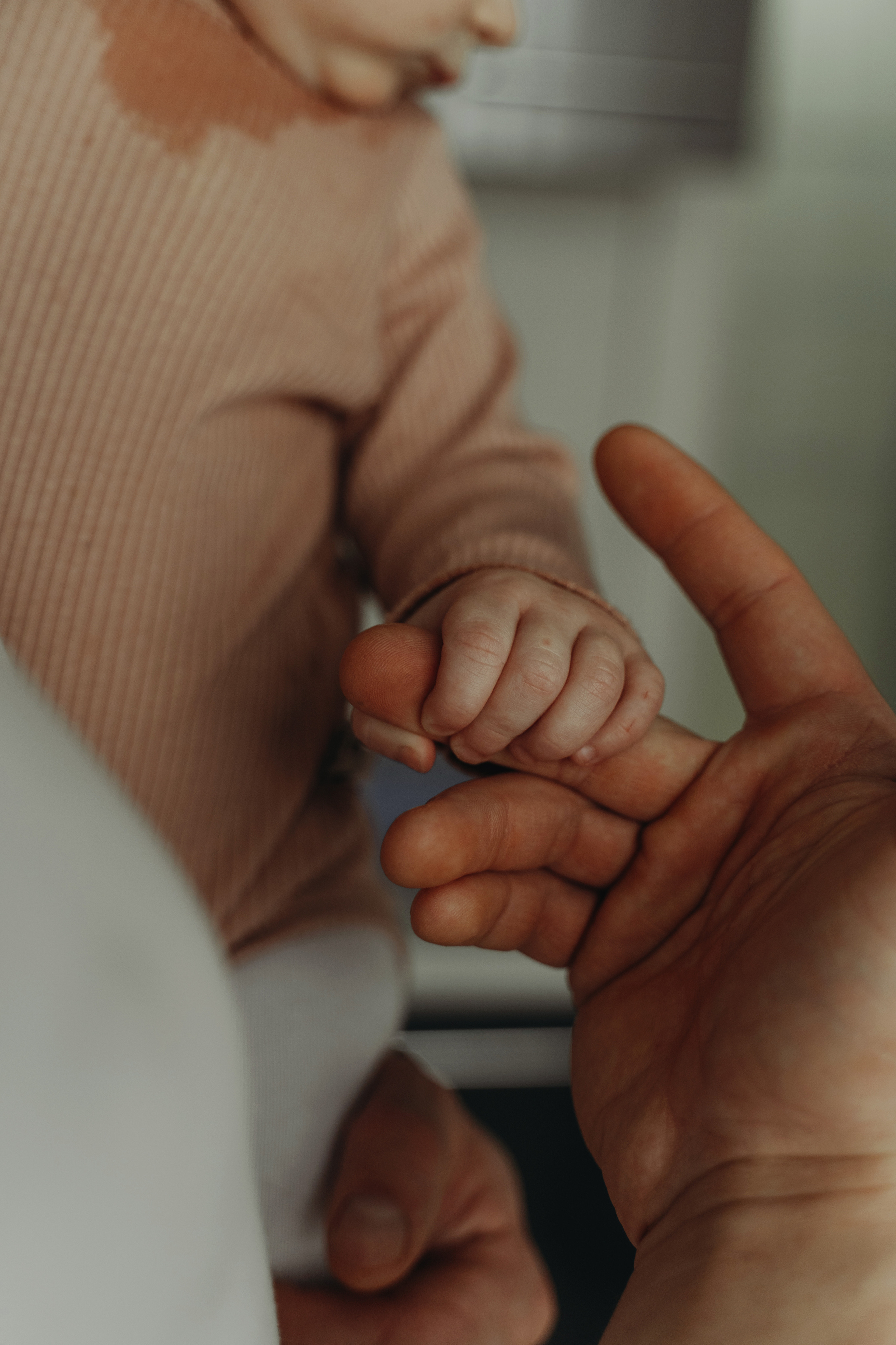 Алеся+Денис и Ильюша. Семейный, свадебный фотограф Минск Бобруйск Алла Сказова