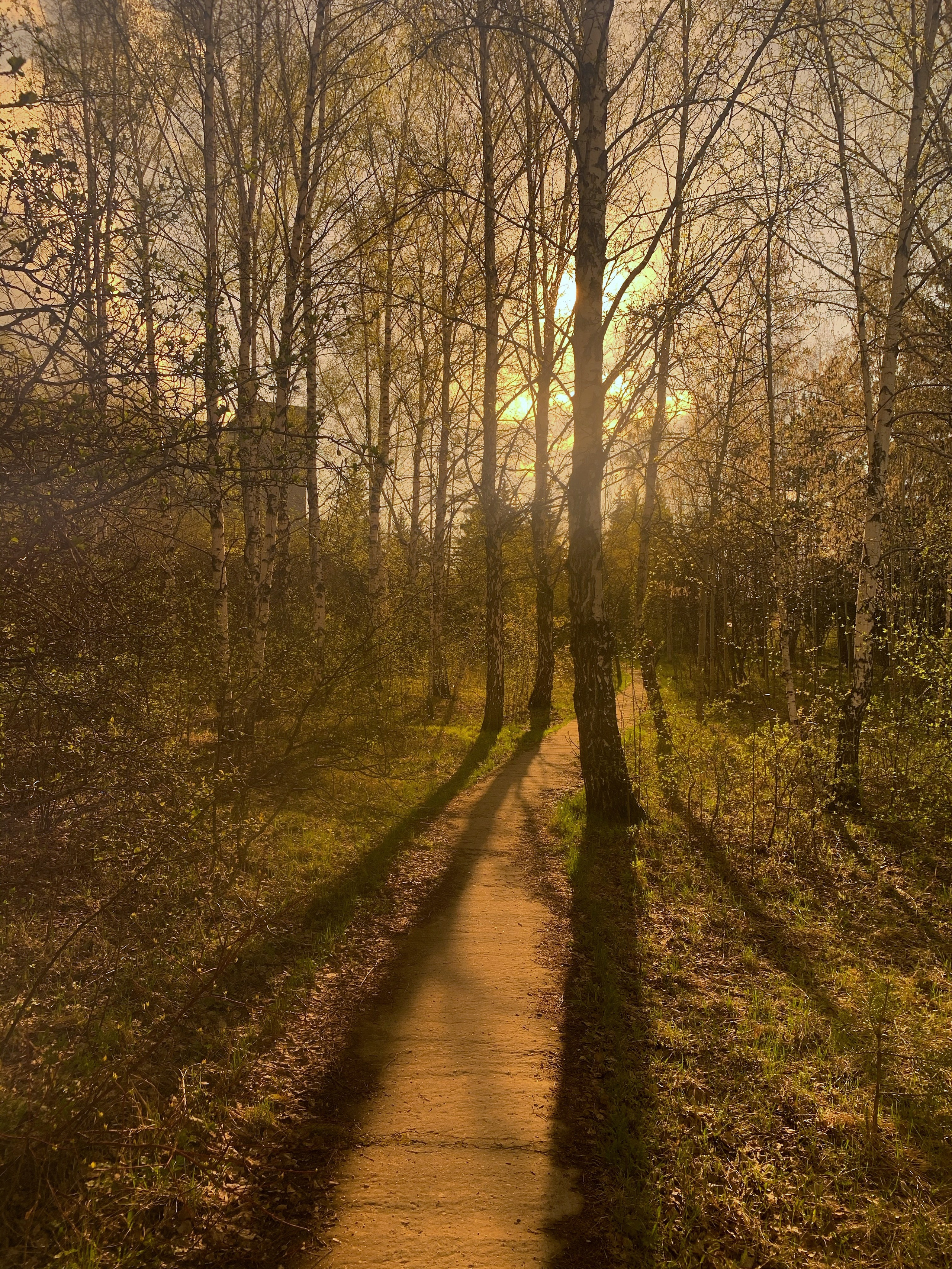 2021. Тащилин Сергей. Фотографии. Жизнь. Хобби