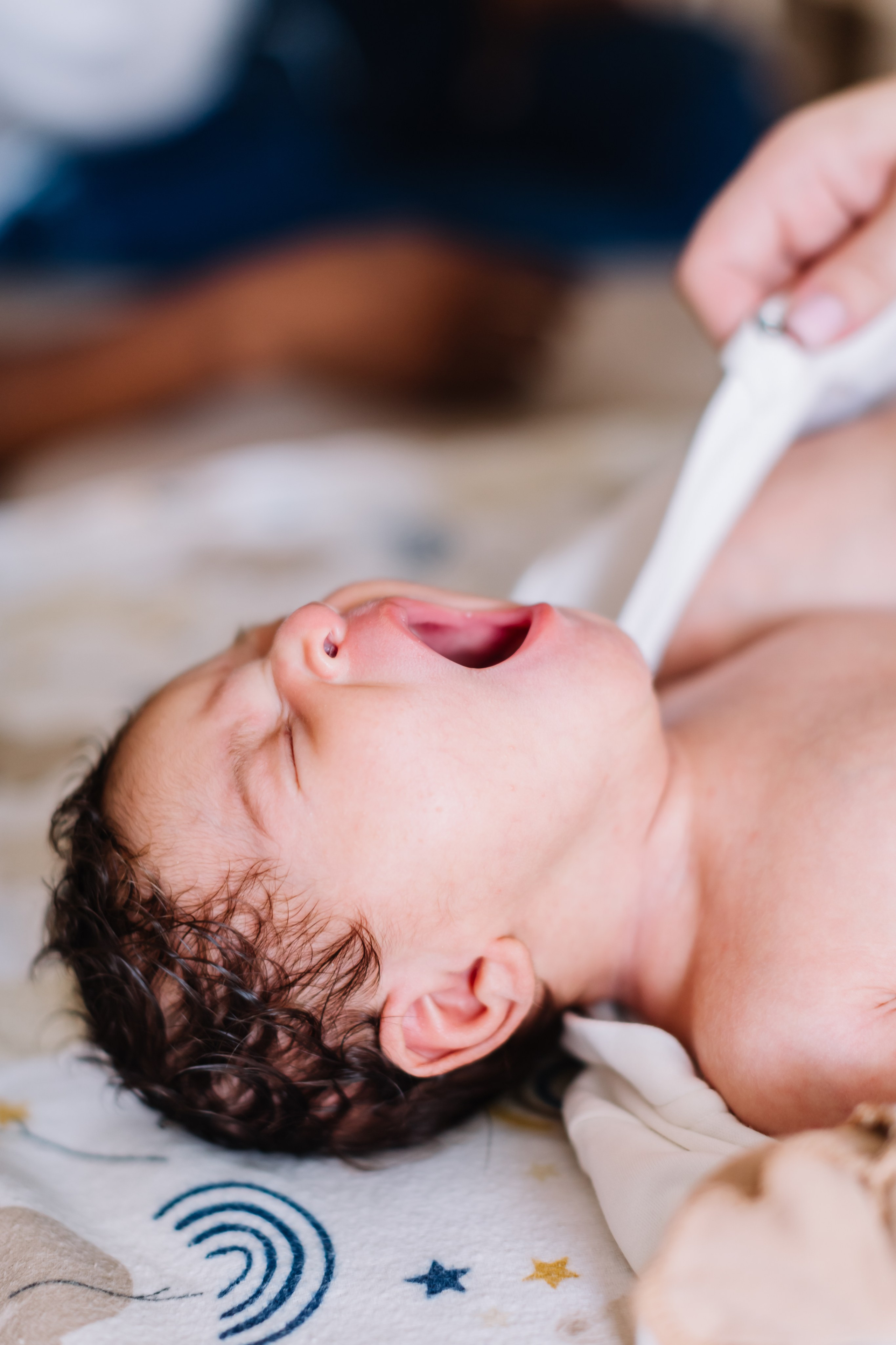 семейный детский фотограф детский новосибирск афро мулат