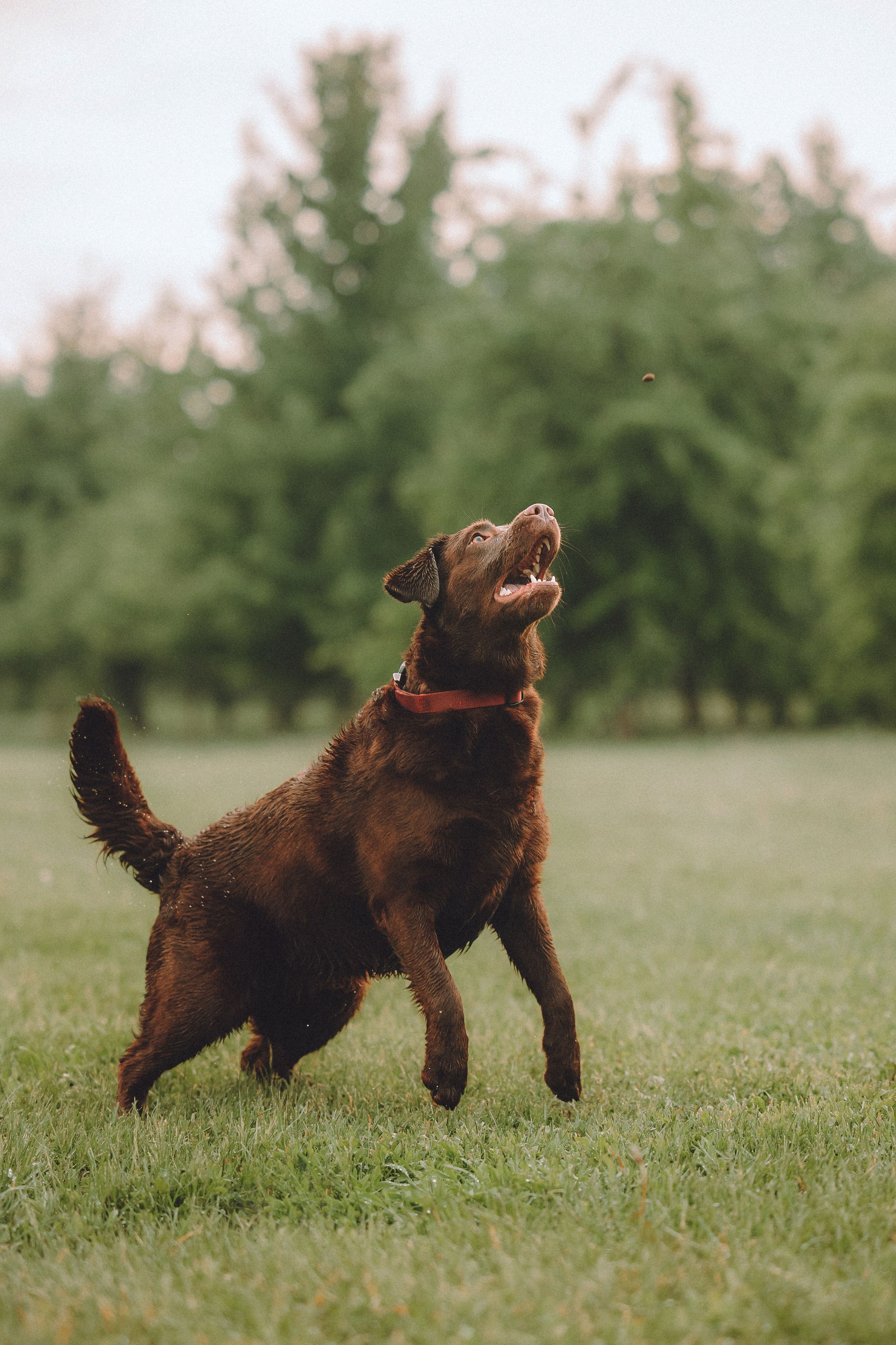Катя, Ваня и Джеси