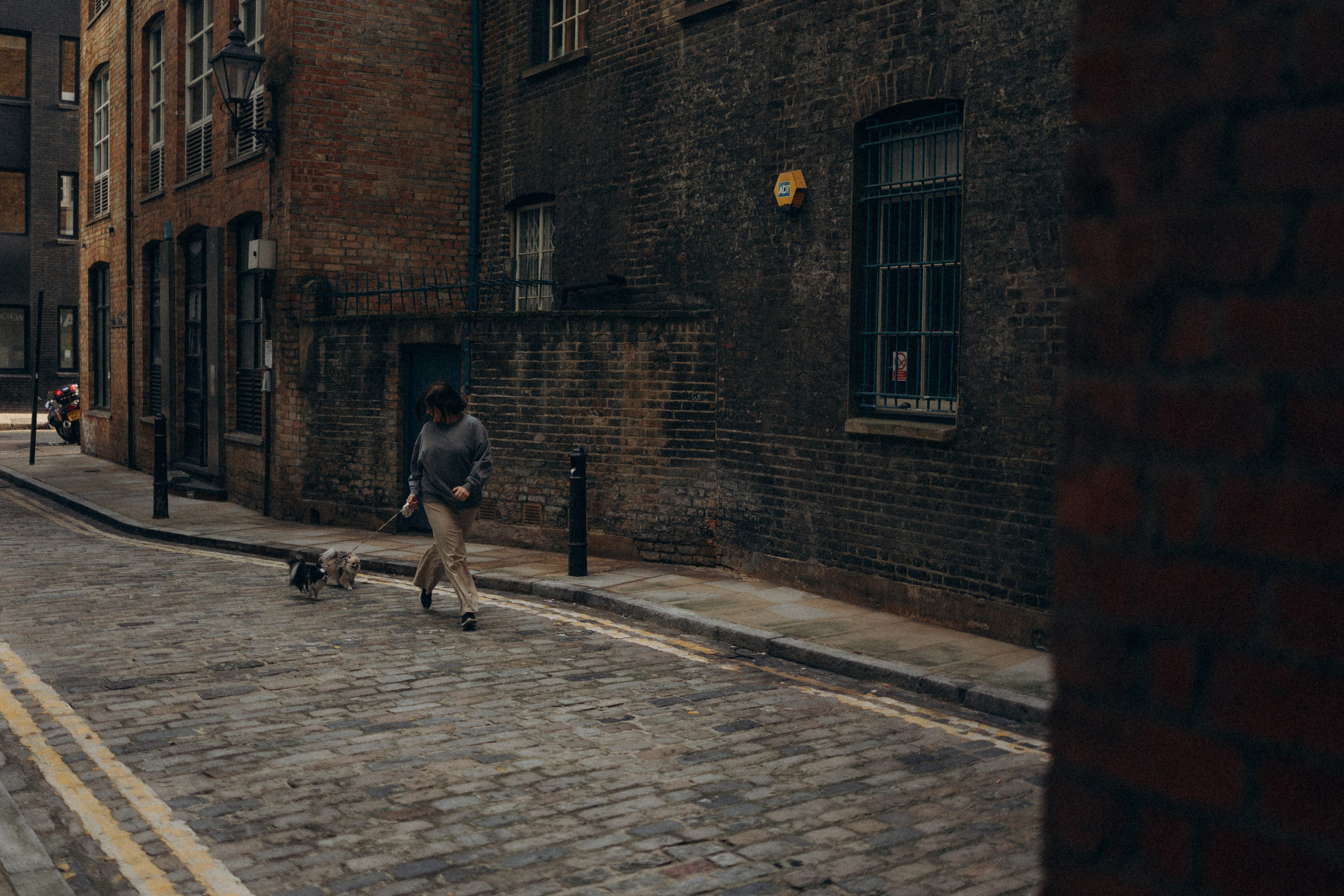 Кристина, Тия и Тедди. Фотораф — анималист Мария Шистка