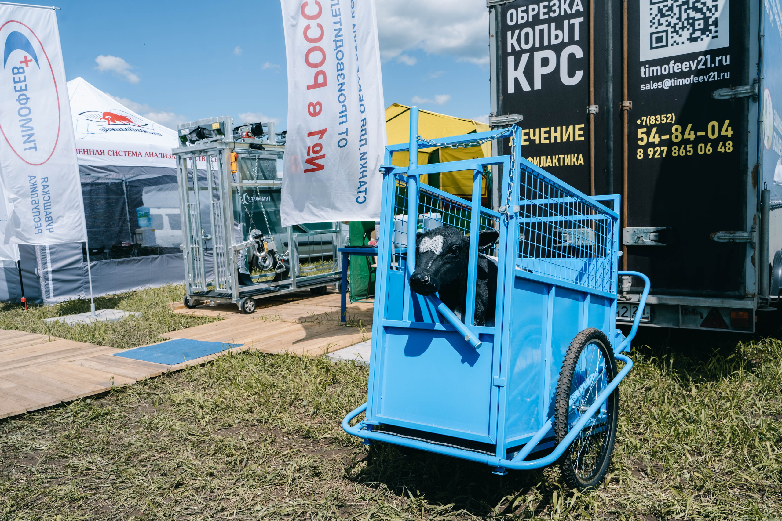 Фестиваль «Самарский день поля» в Угорье. Фотограф Сергей Логинов