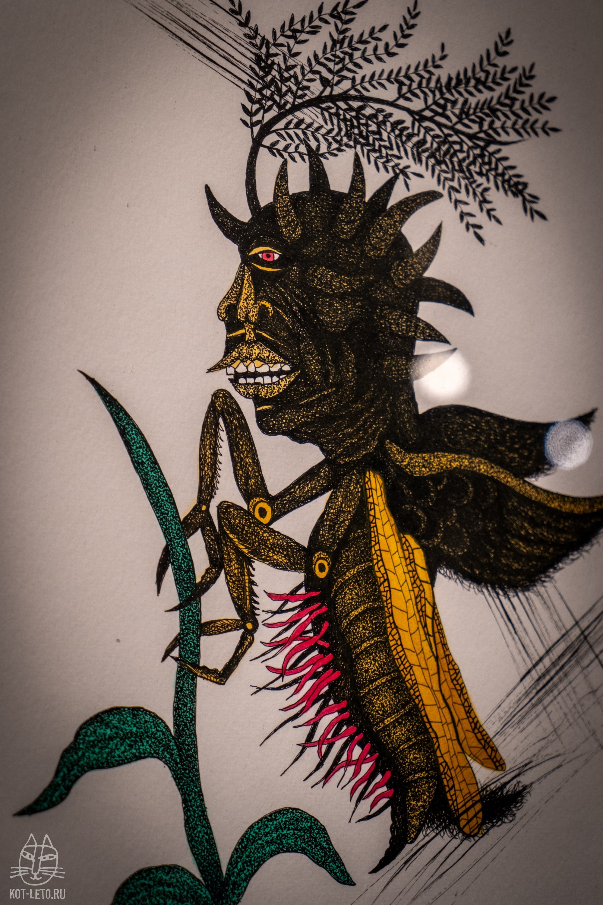 Exhibition BIOPHILIA (Goa). Твой фотограф — Полосатый кот