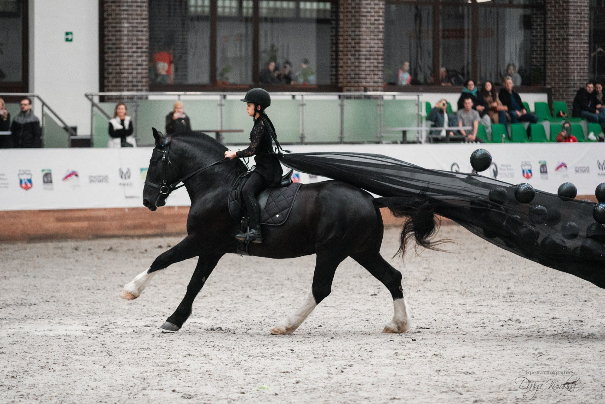 8-я международная выставка Конная Россия. Конный фотограф Куракина Дарья • Фотосессии с лошадьми