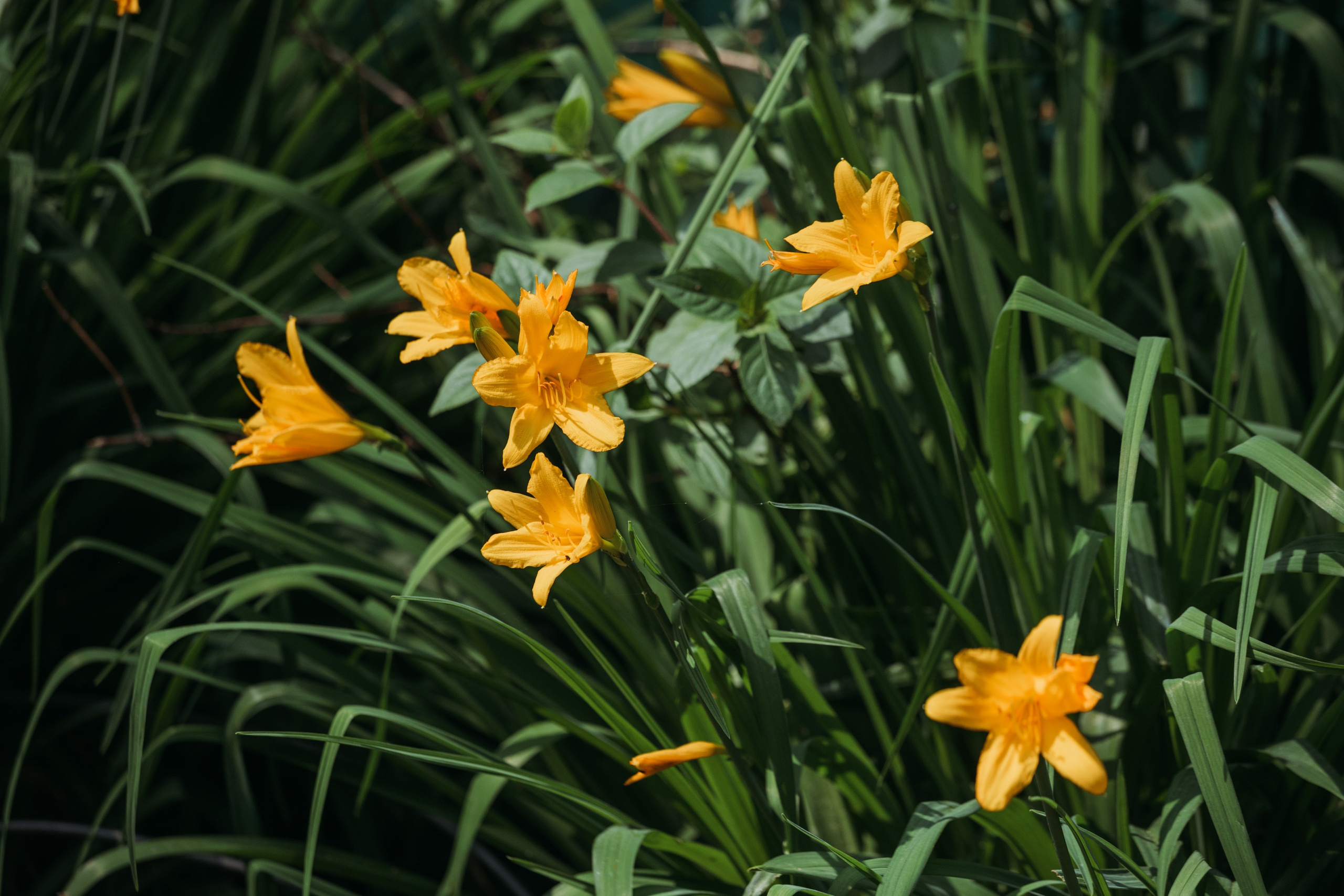 Родные люди «Переделкино». Леся Гаранина. Семейный фотограф/видеограф Москва и область