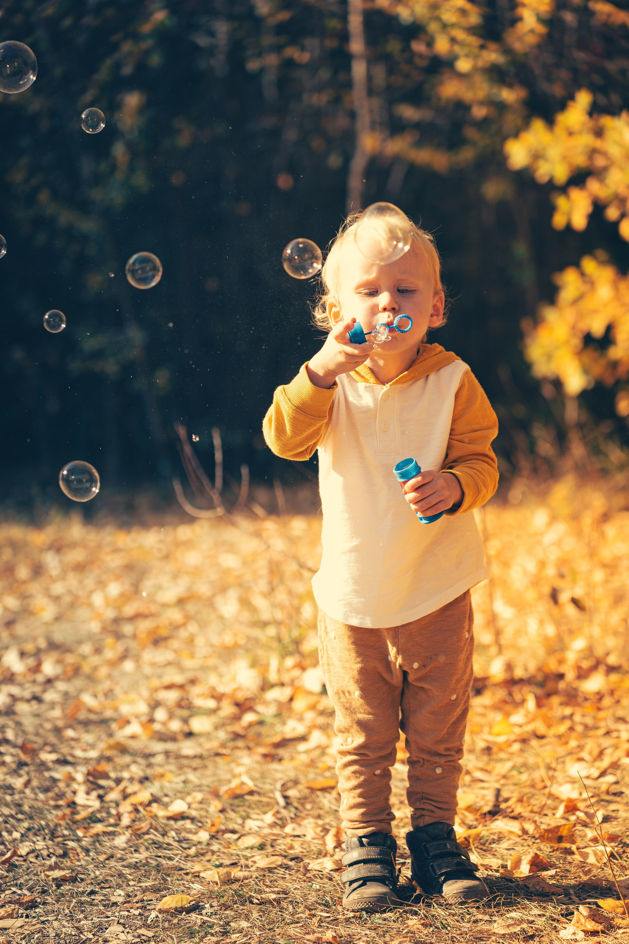 Семейная съемка Александр Шалагин
