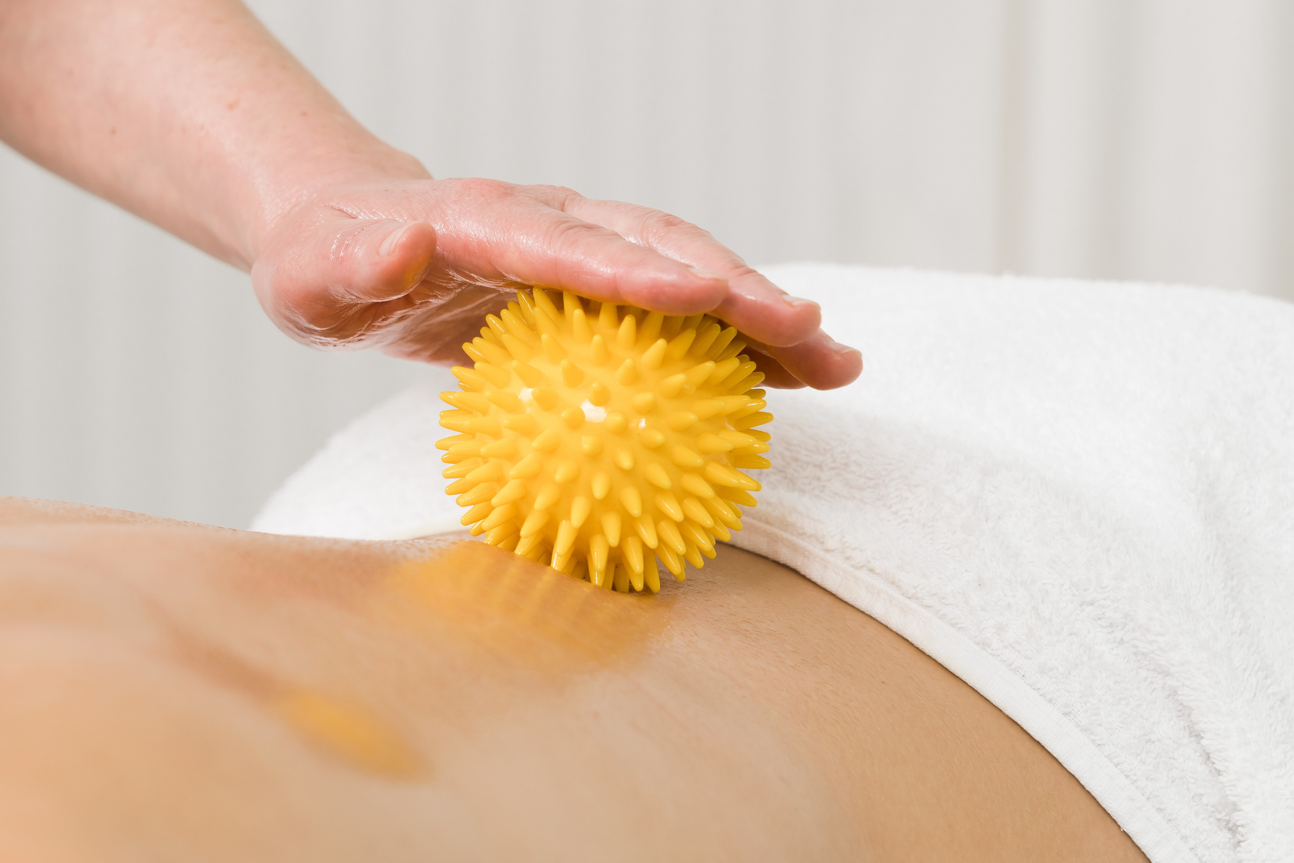 Фото для салона «Iqladies». Photomantis