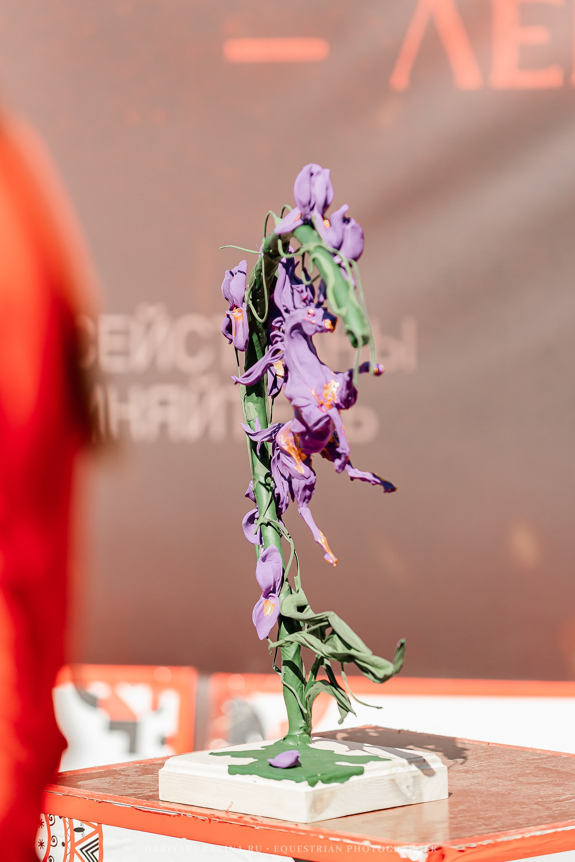 #ПОНИФОРУМ 2024. Конный фотограф Куракина Дарья • Фотосессии с лошадьми