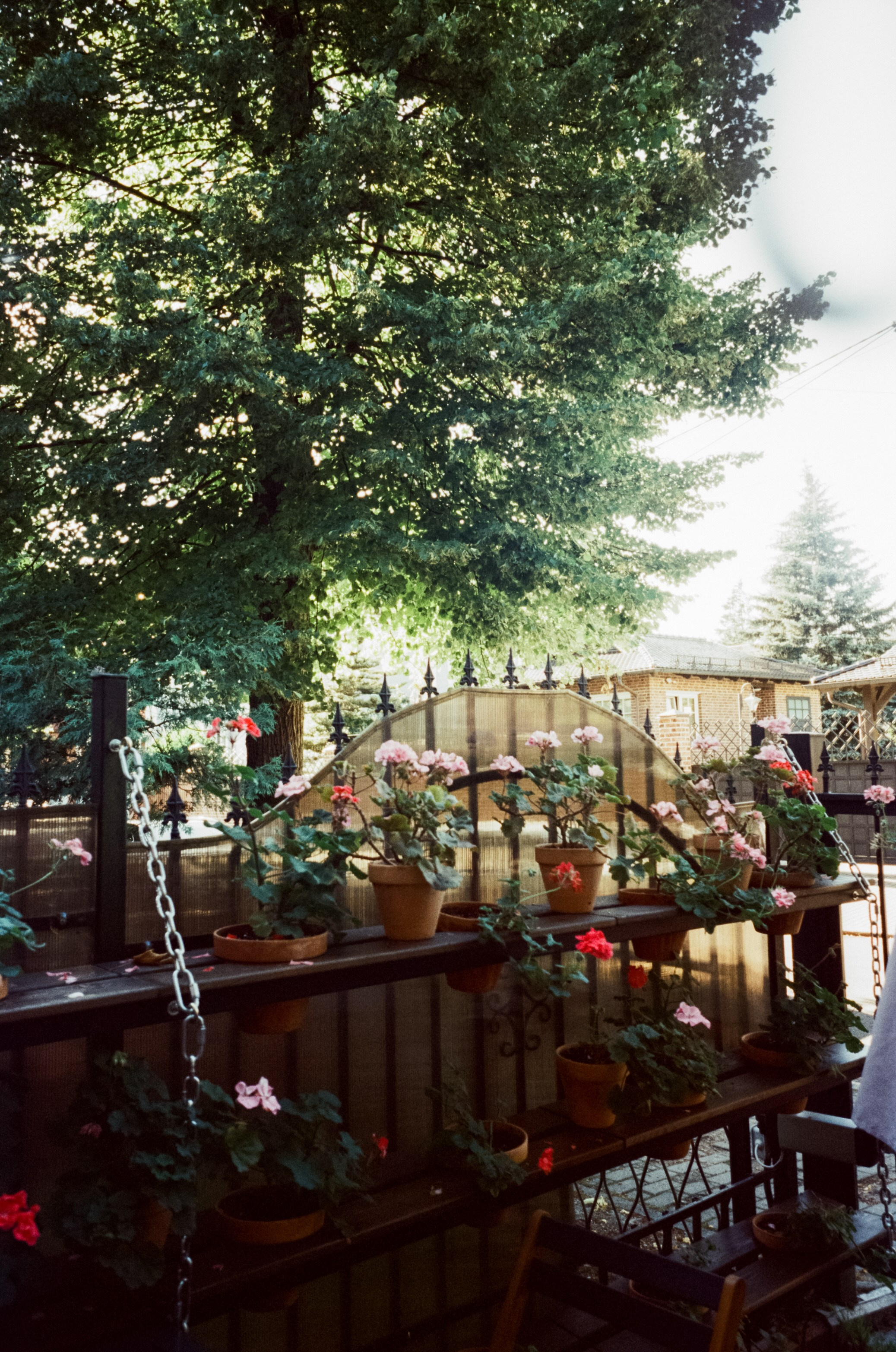 Amalienau Breakfast, Калининград. Фотограф-документалист Мария Осокина