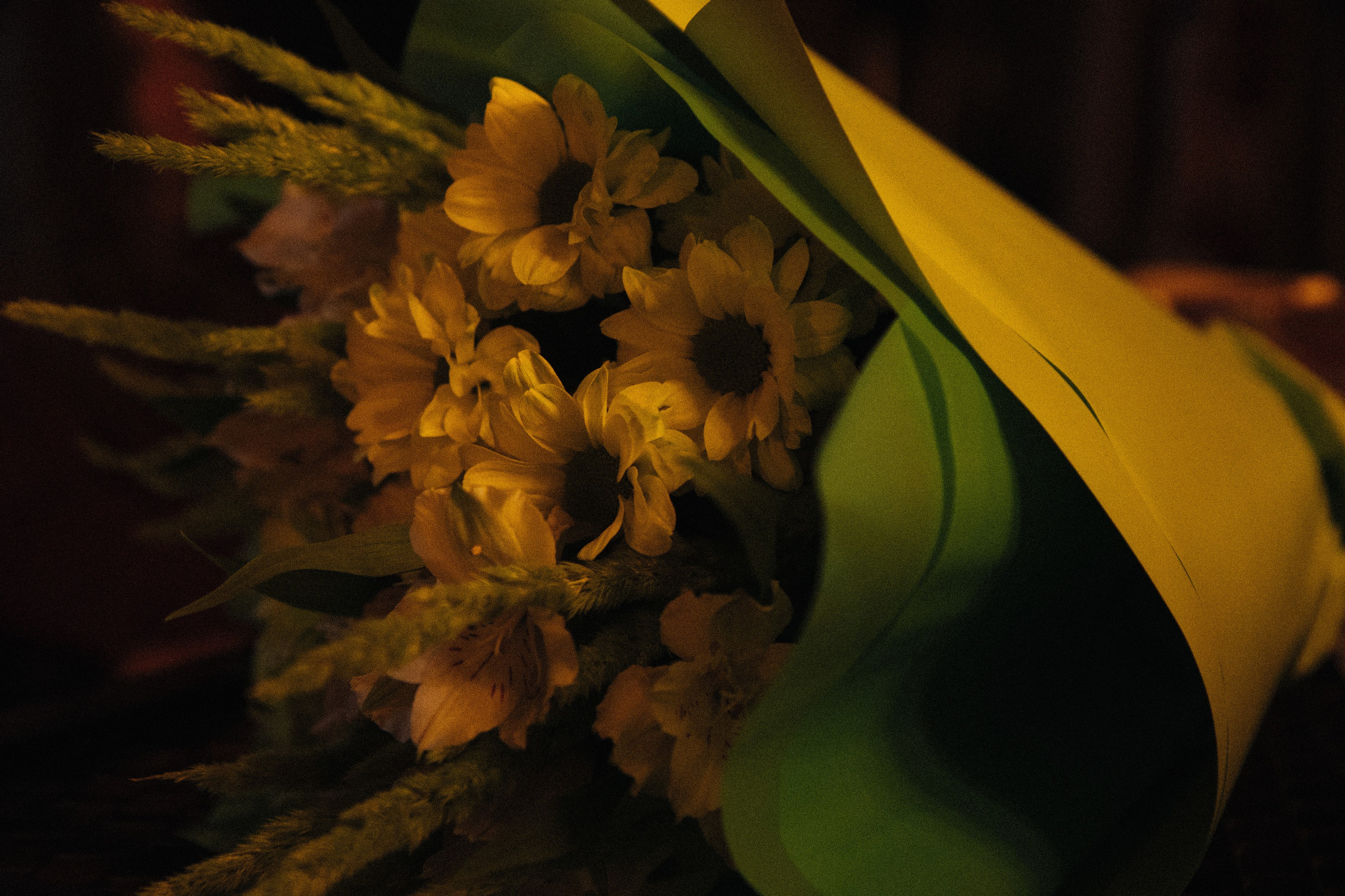 Мероприятия. Фотограф Егор Огородов