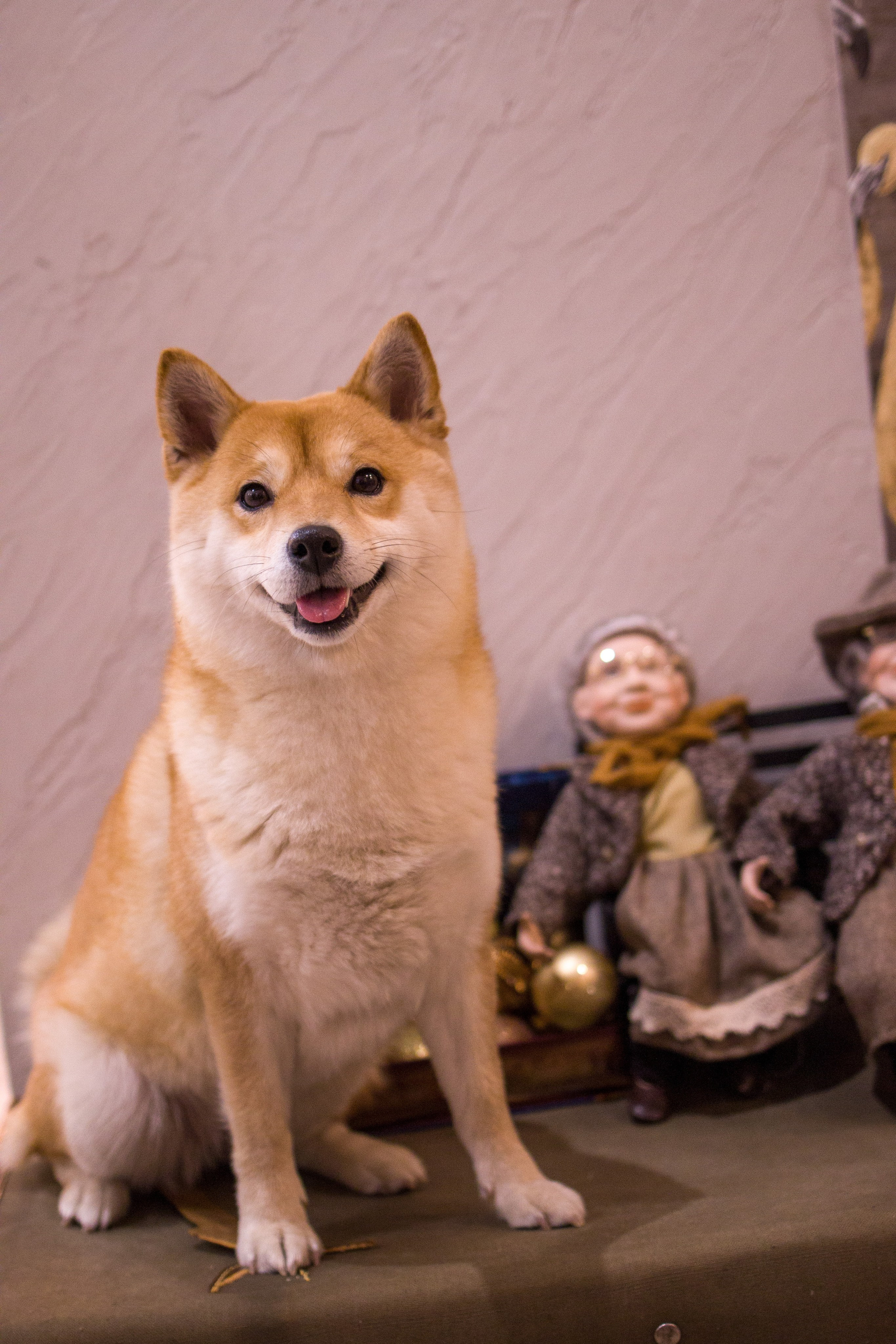 Диана. Художественная фотография