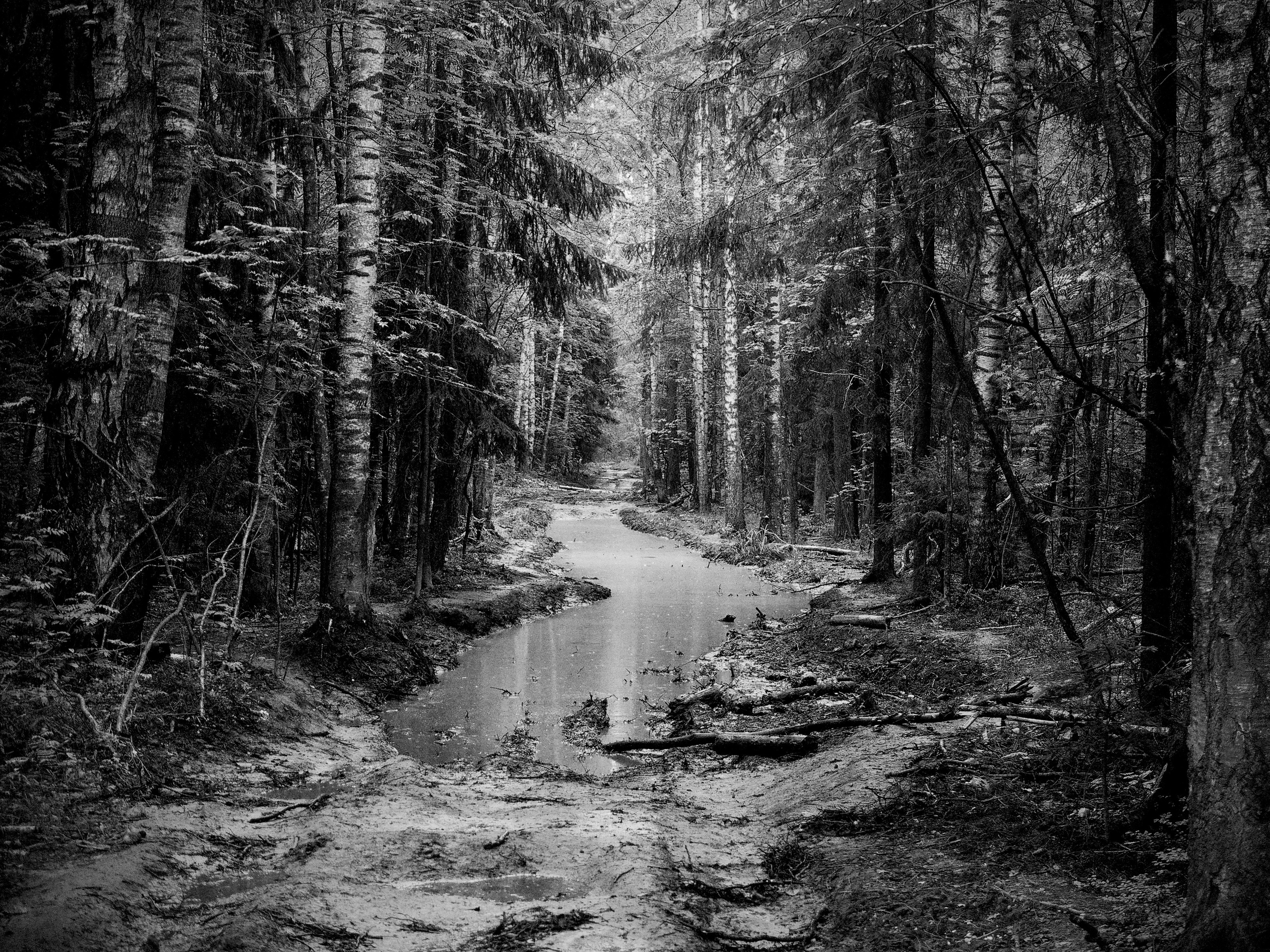 Bardo. Роман Ходырев — художник, фотограф, музыкант, эзотериолог. Санкт-Петербург, Рига