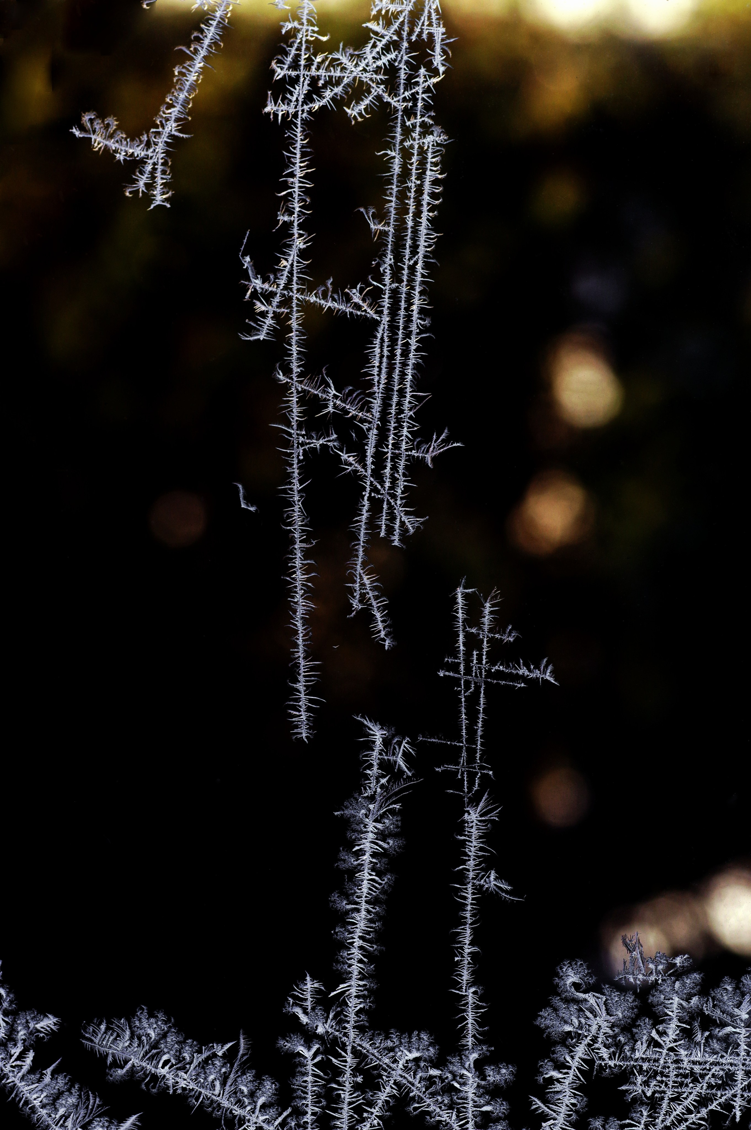 5. Вадим Шейдин