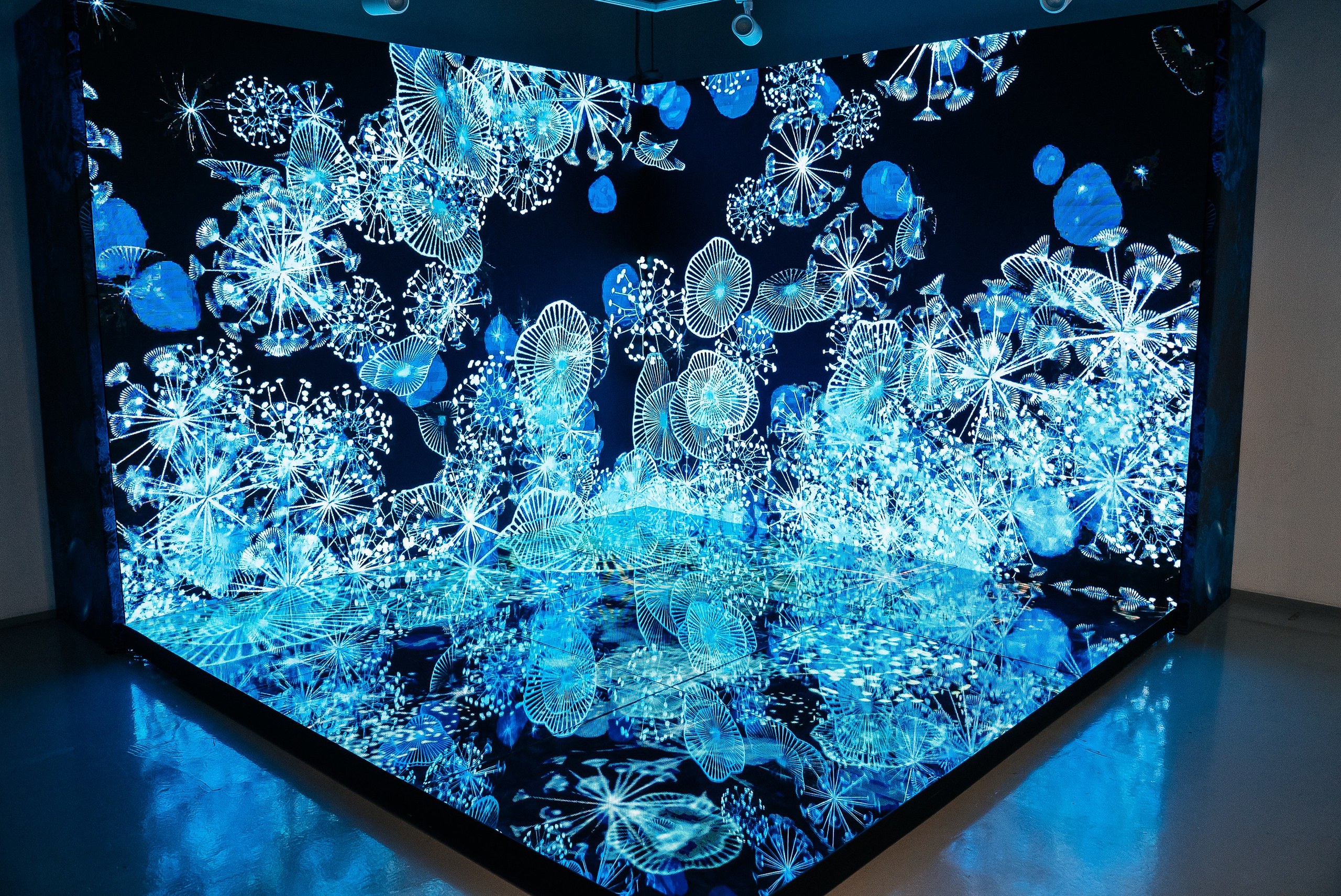 La Roche Posay. Павел Краснов — Свадебный и репортажный фотограф в Москве