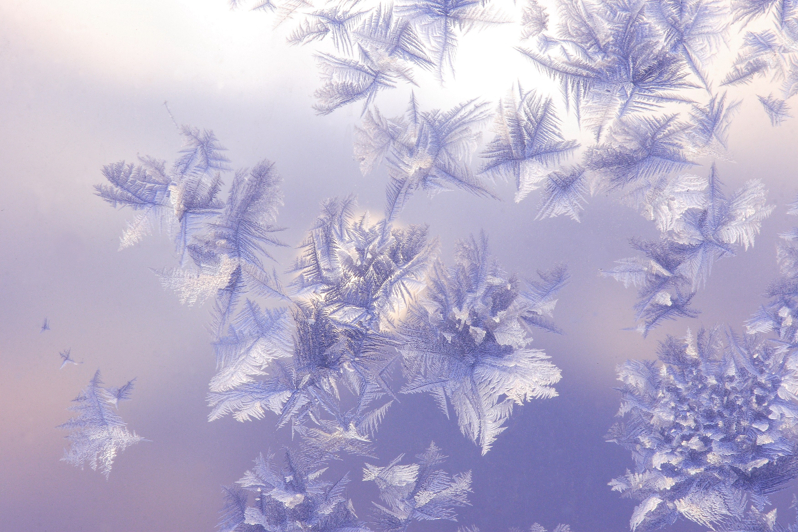 Живописные фотографии природы. Фотограф в Москве и Подмосковье, Николай Сорокин