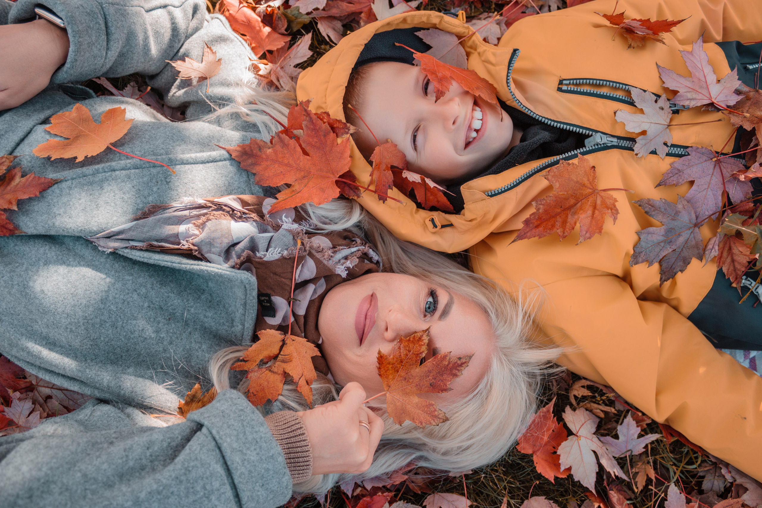 фотография лежа среди осенней листвы
