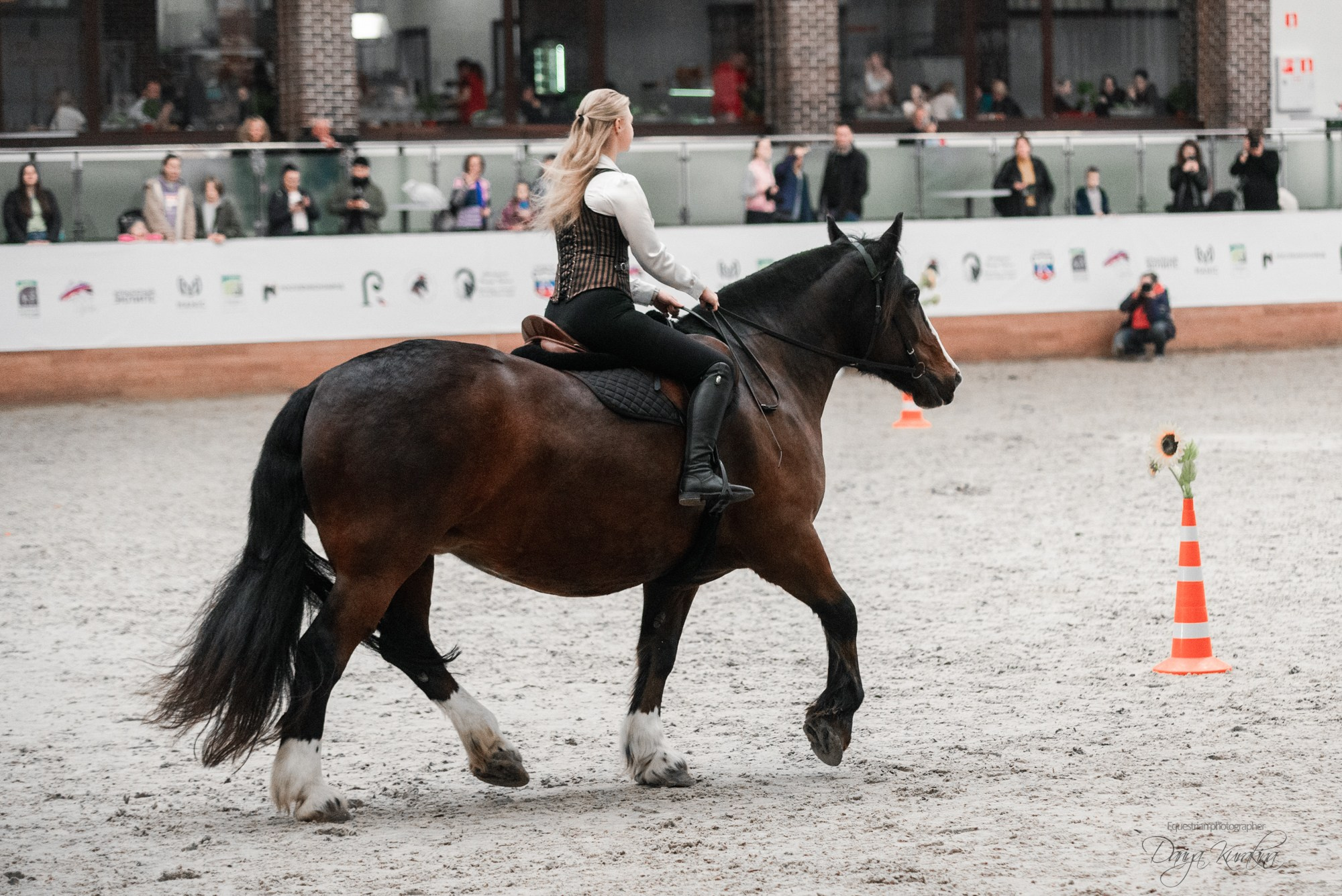 8-я международная выставка Конная Россия. Конный фотограф Куракина Дарья • Фотосессии с лошадьми