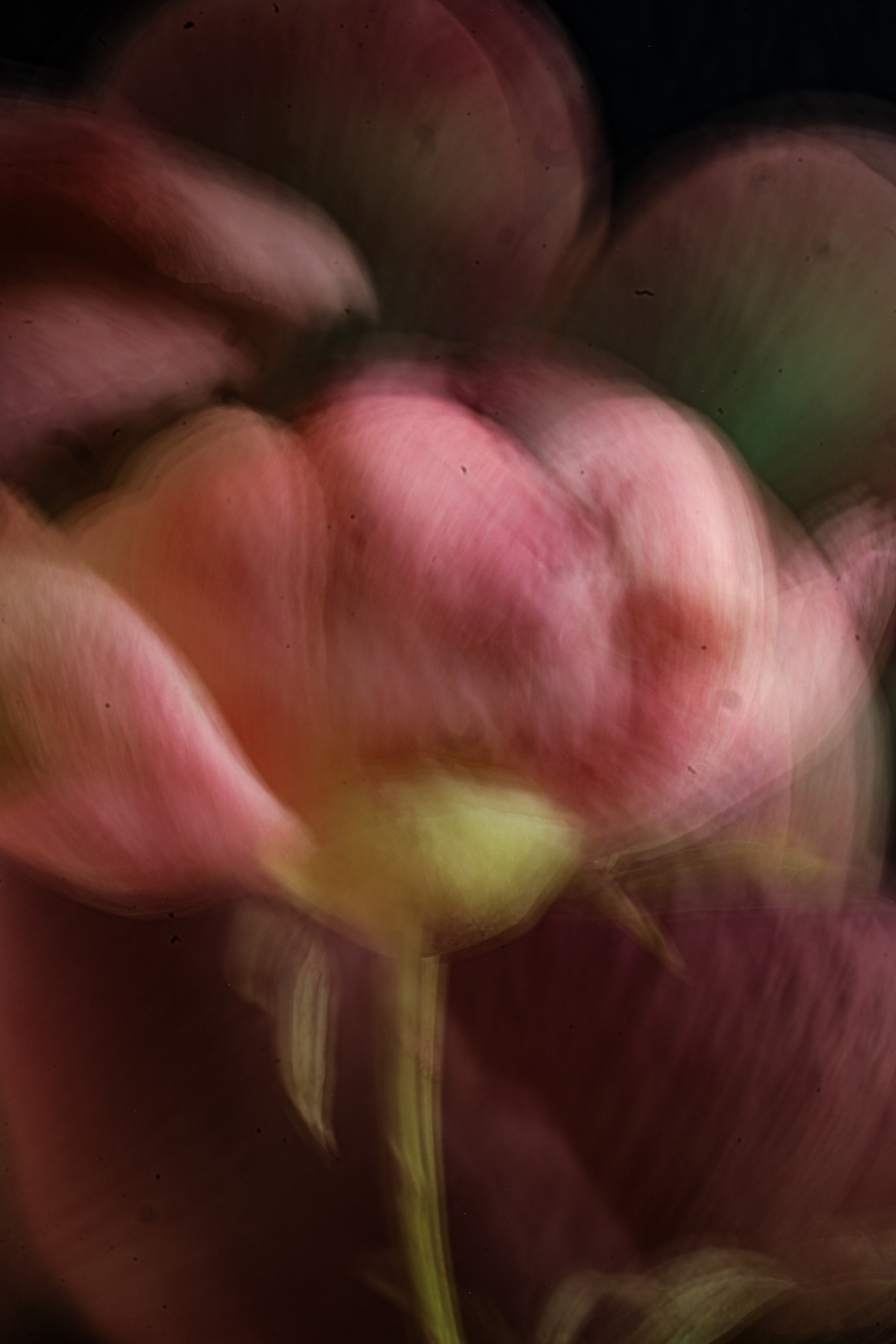 Природа &. Фотохудожник в СПб