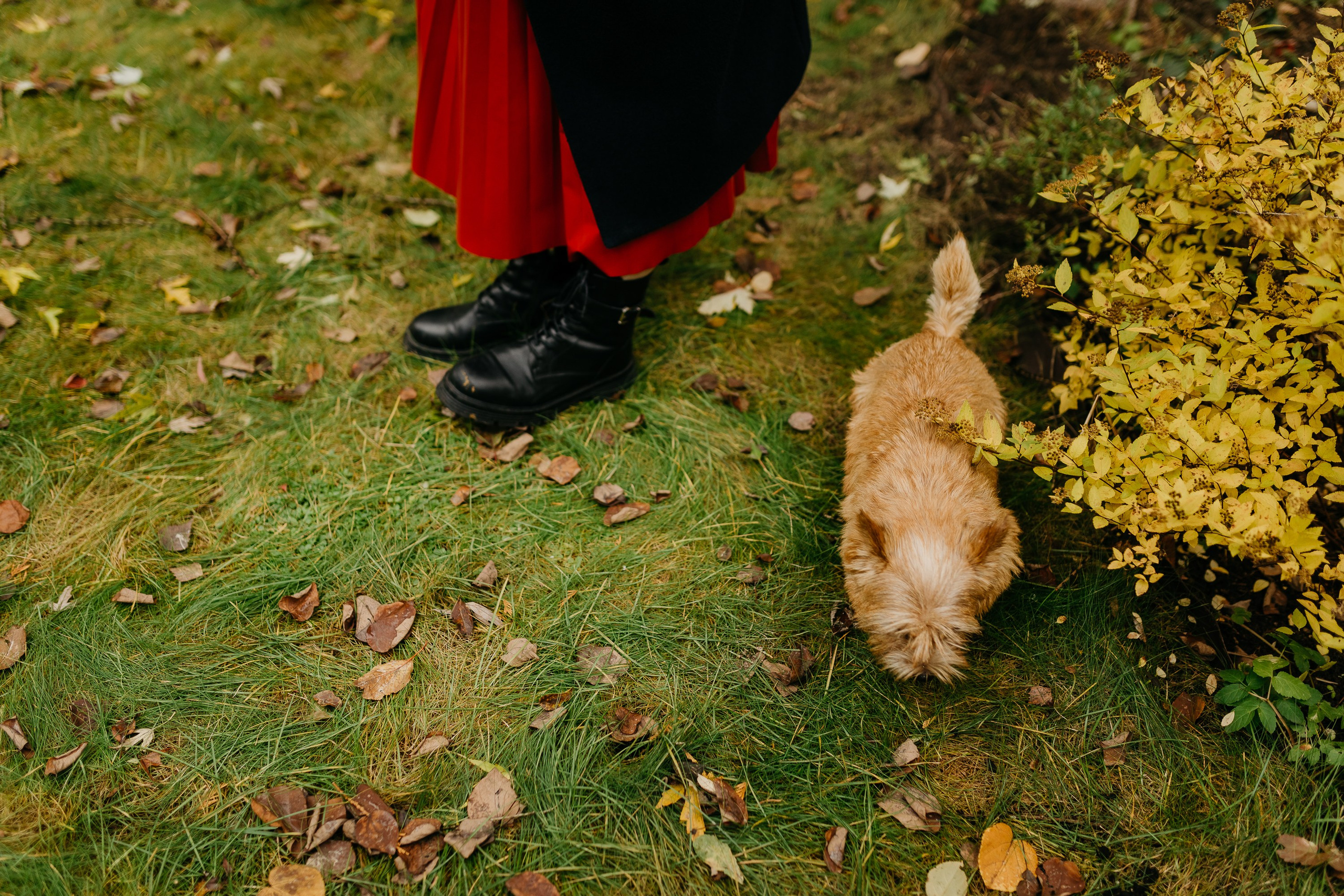 Семейная домашняя фотосессия жк Эдем. Семейный фотограф Маша Тимофеева | Москва