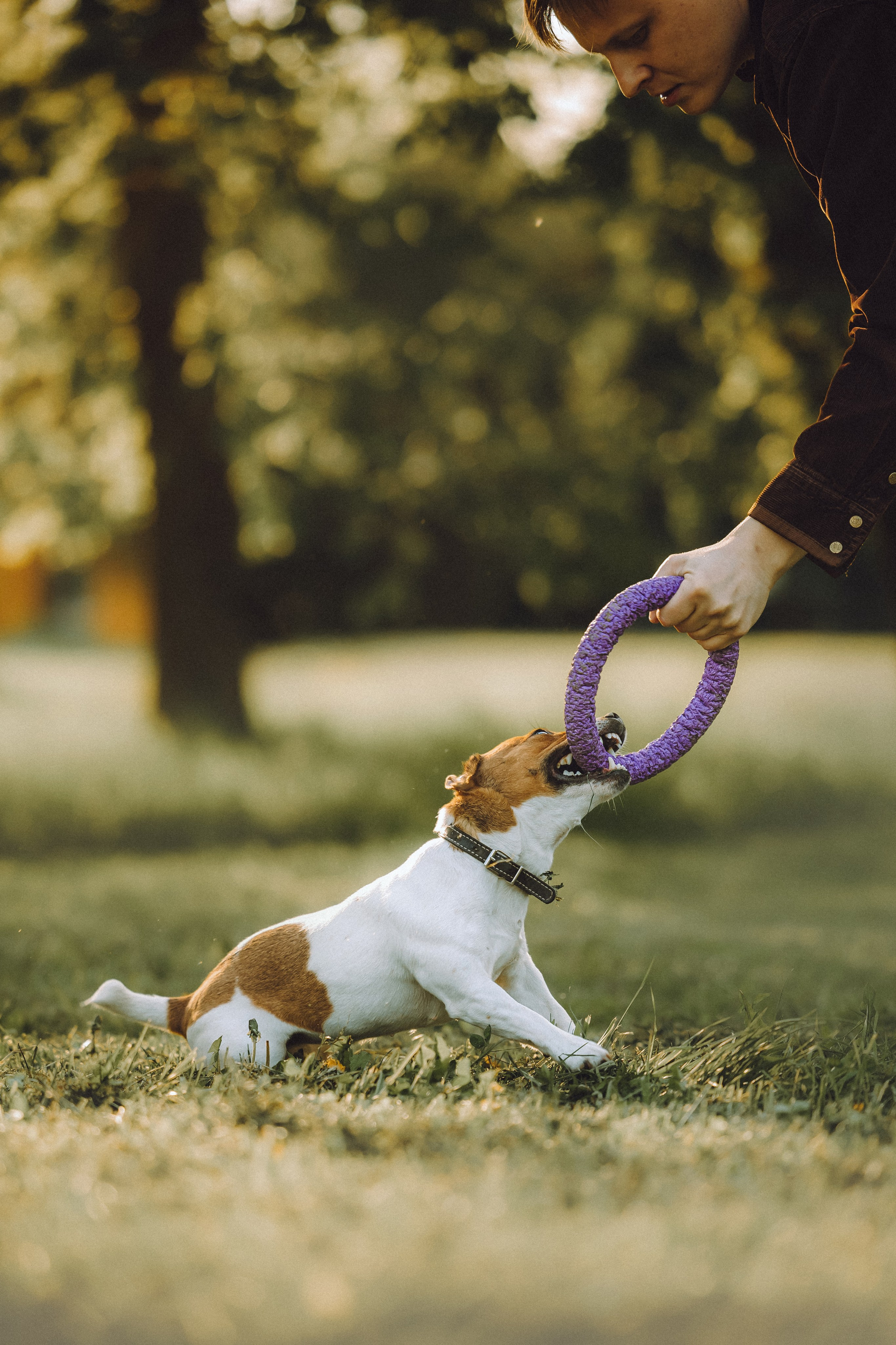 Шерри и ее семья