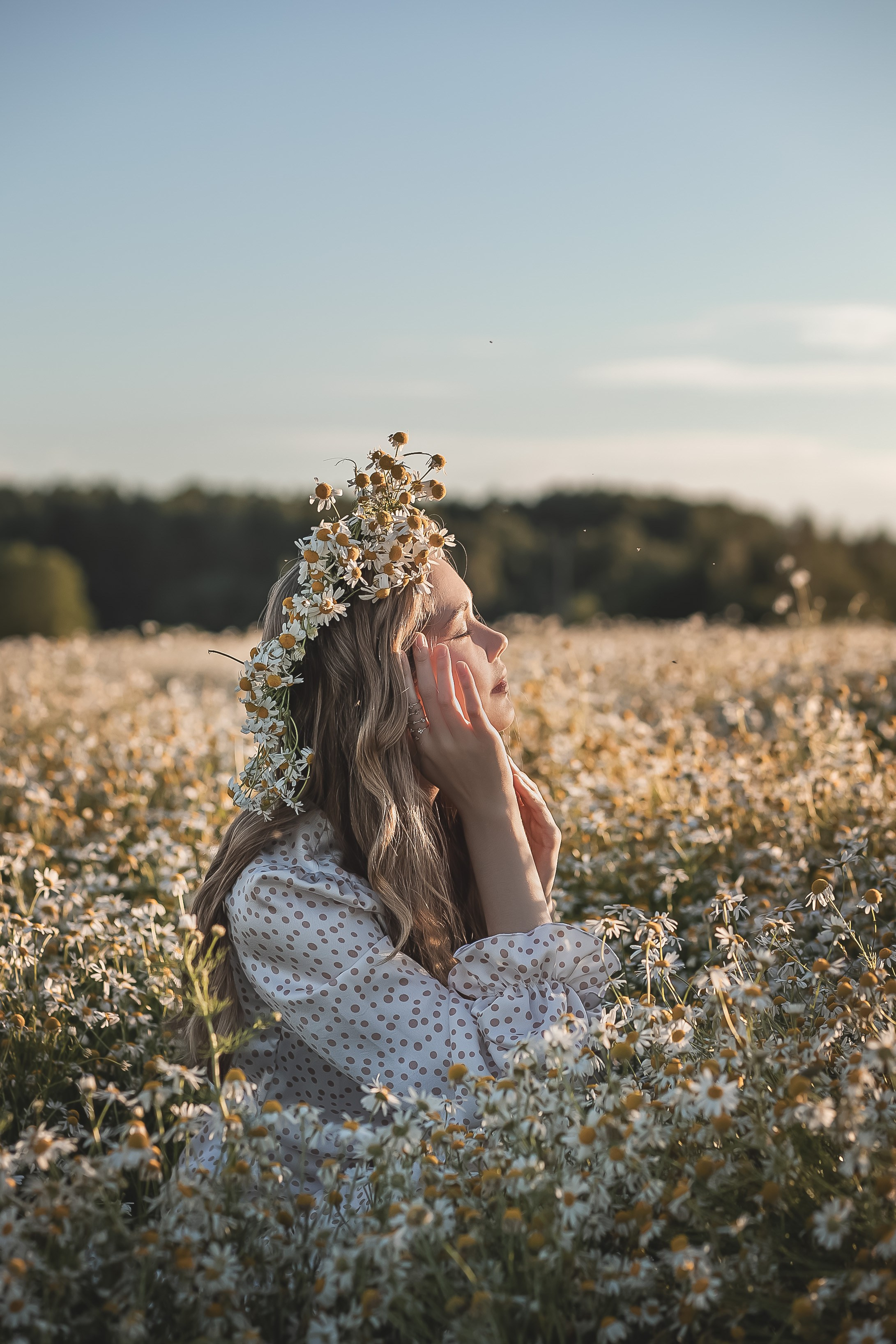 Алена. Фотодень в ромашках. Свадебный и семейный фотограф в Колпино и СПб Юлия Папанова
