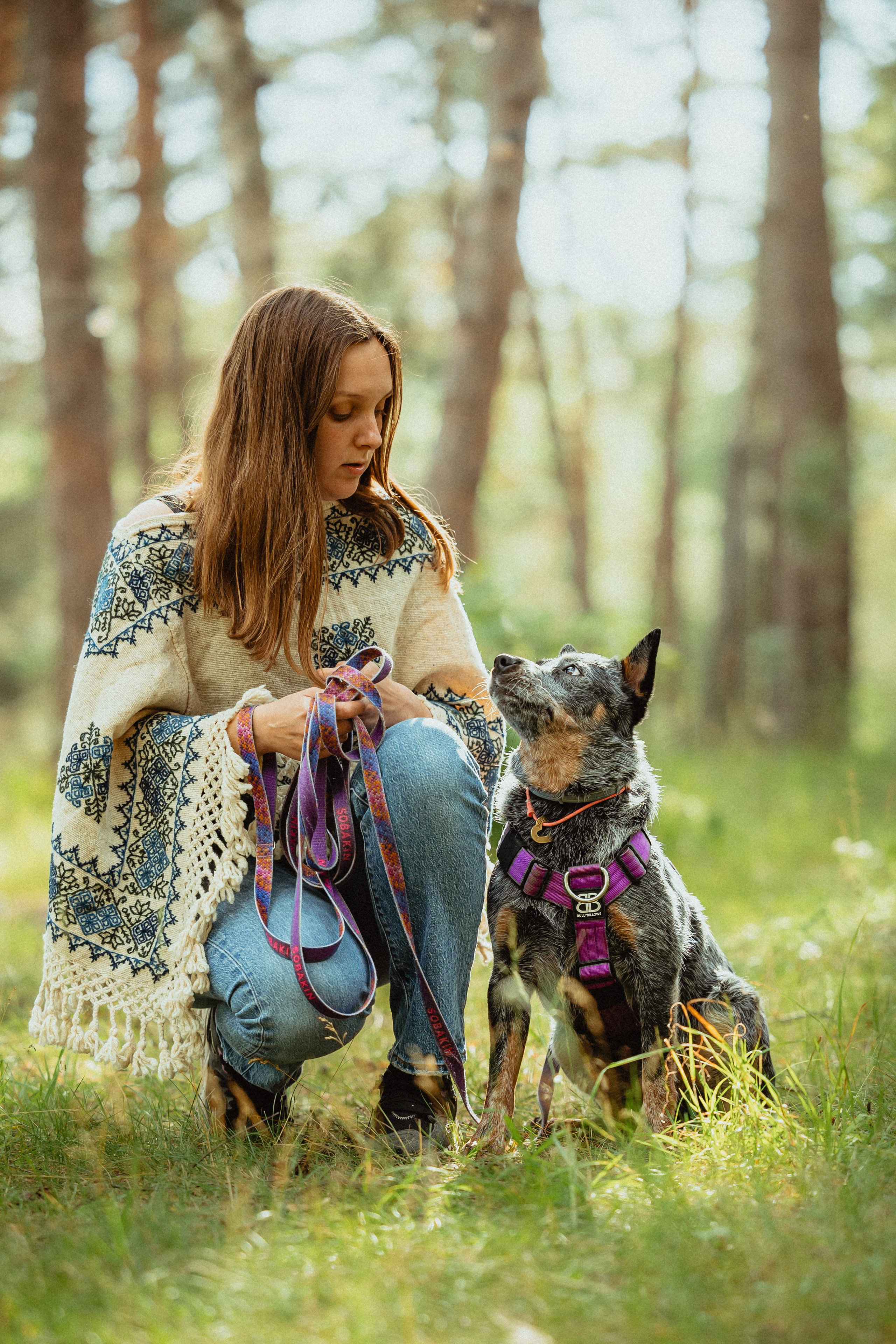 Выездной дог-тренинг от школы «Шерсть имею»