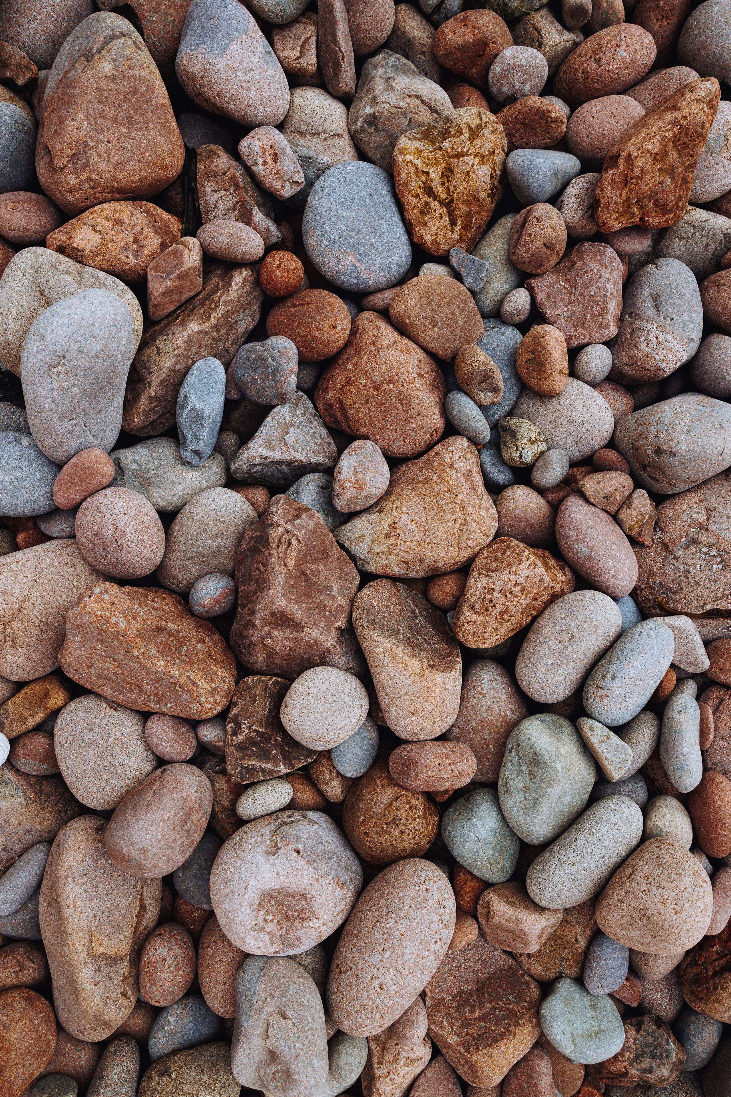 ЛЕТИ ЗА МНОЙ…. Wedding and family photographer in Vladivostok Anton Blokhin