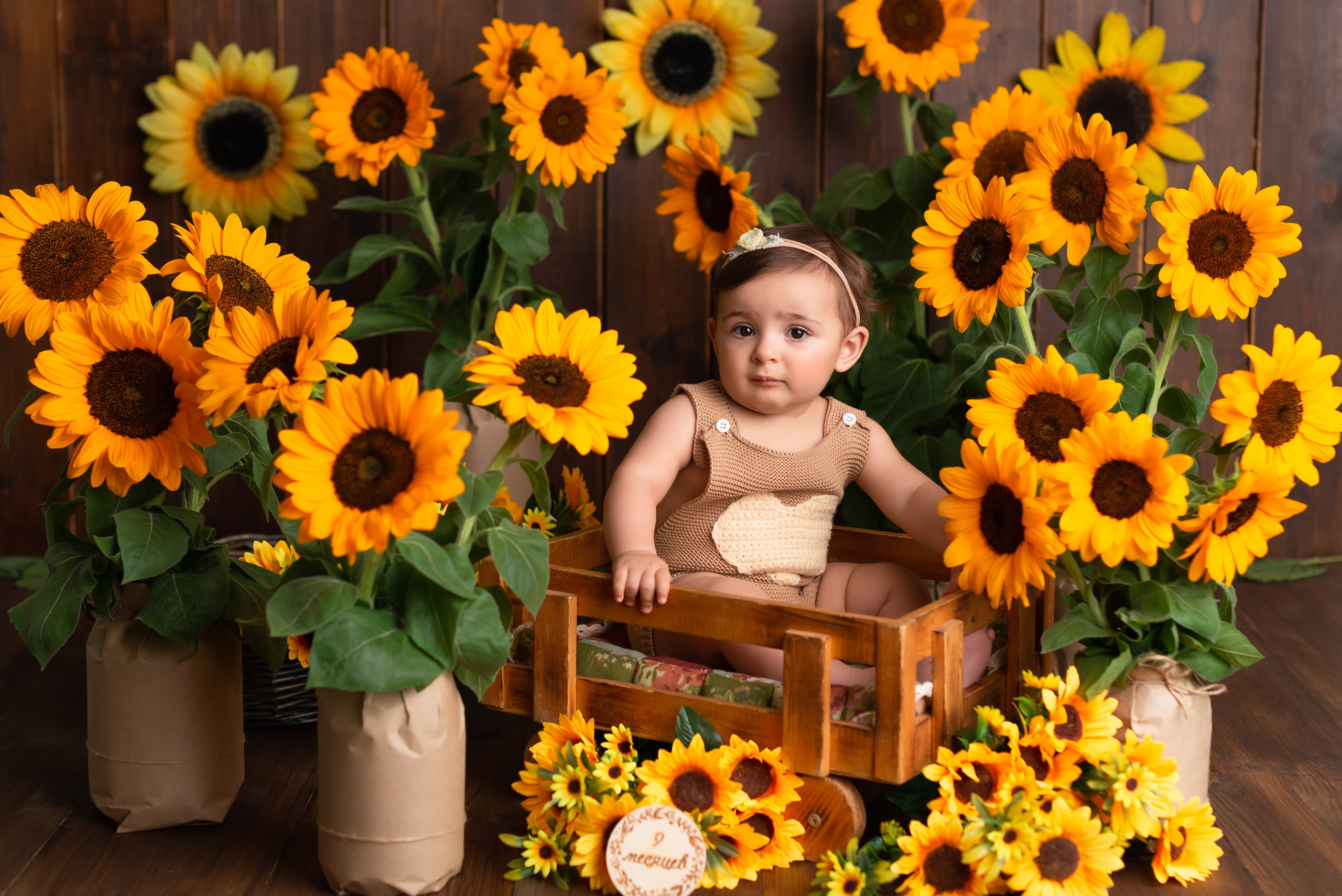 Детская фотостудия Краснодар. Детская фотостудия «Мандаринка» | Детский фотограф Краснодар