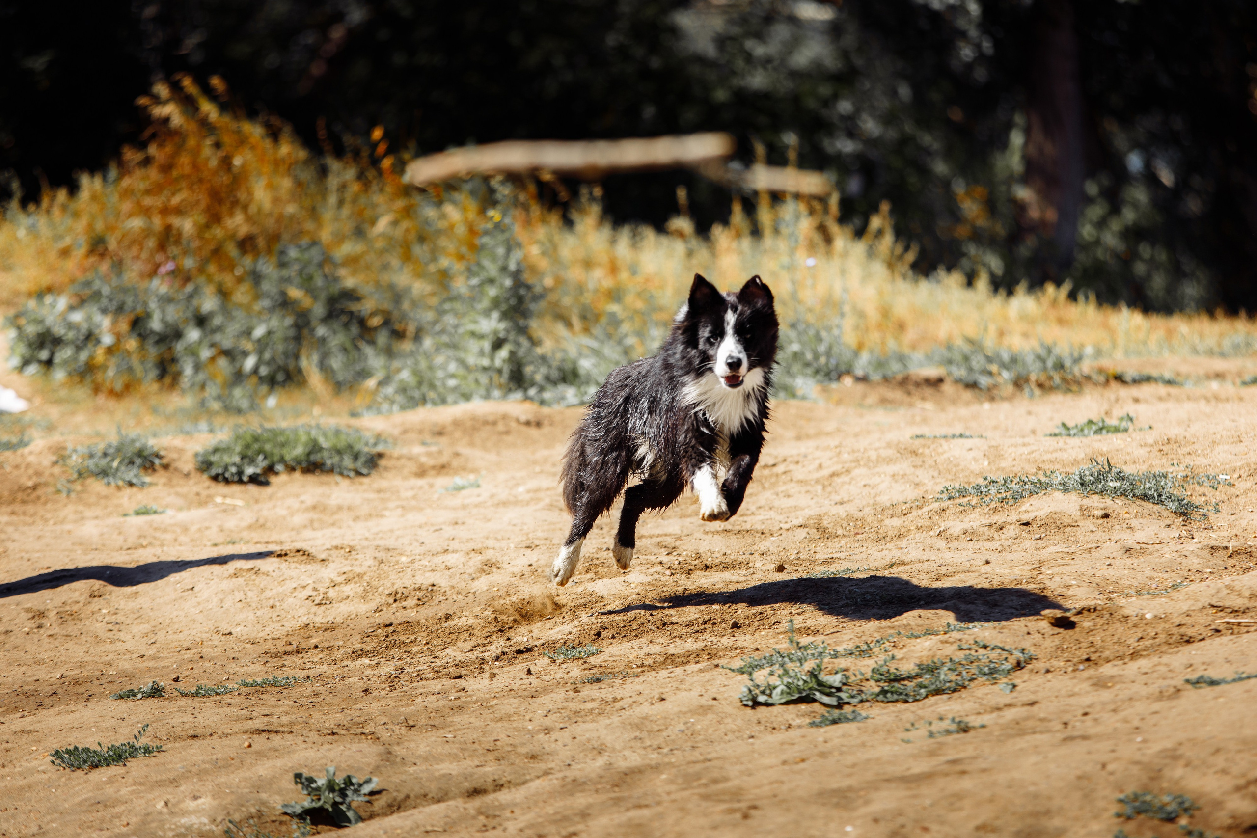 Водяные в Новотроицке. О нас