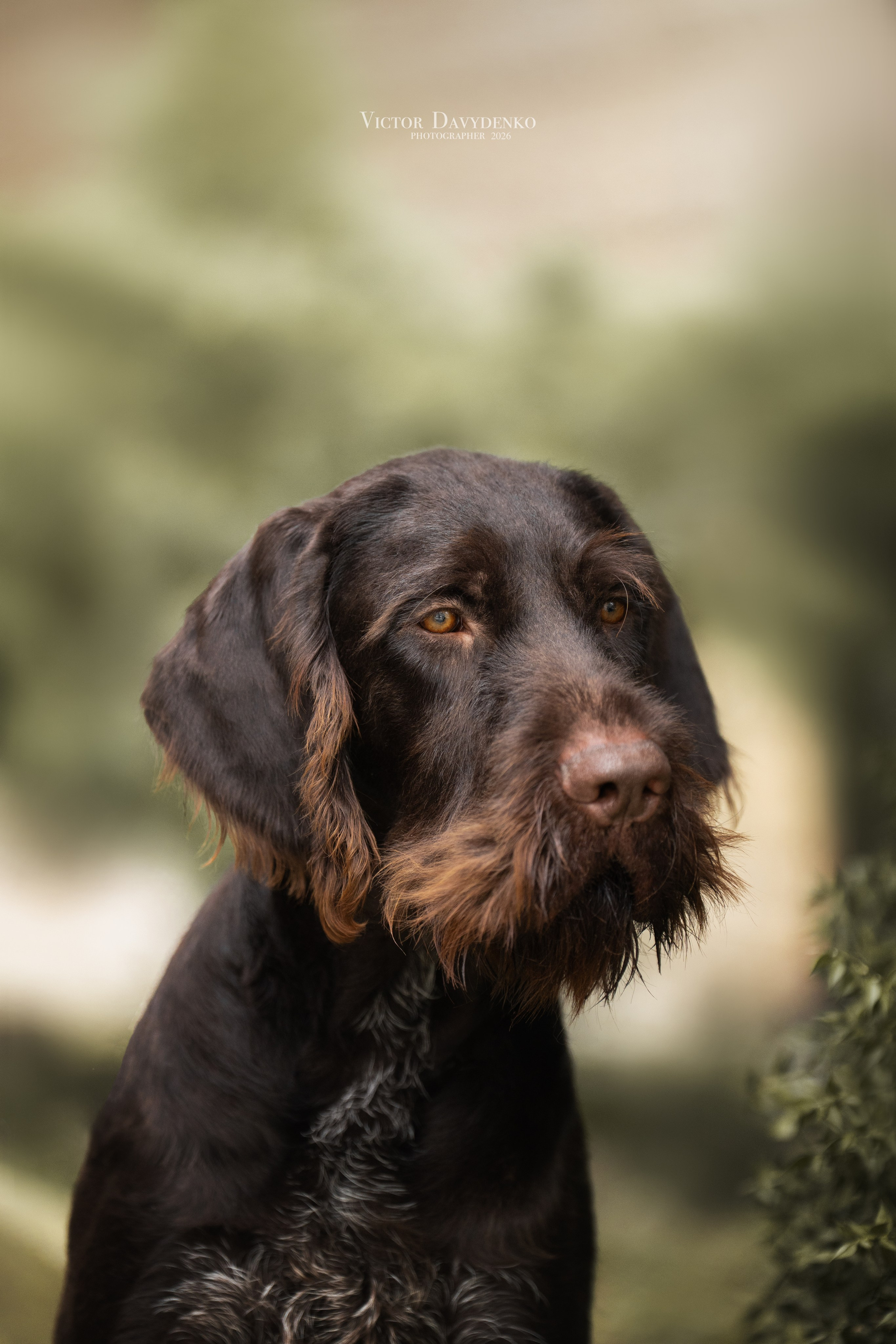 Давыденко Анна / Фотограф Краснодар/Сочи