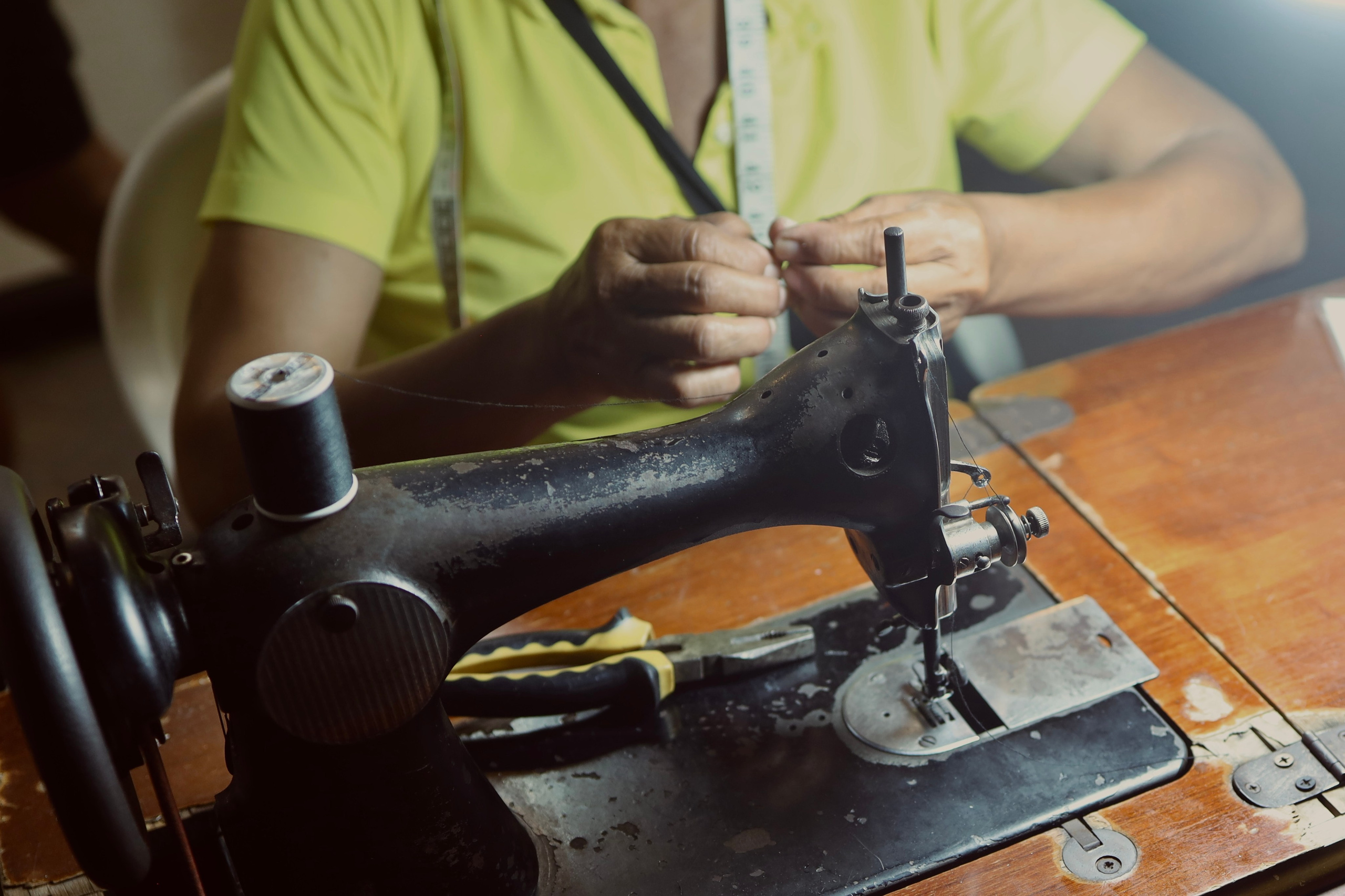Night inhabitants of Samui Island / Thailand 2024. POLINA MÔMOT