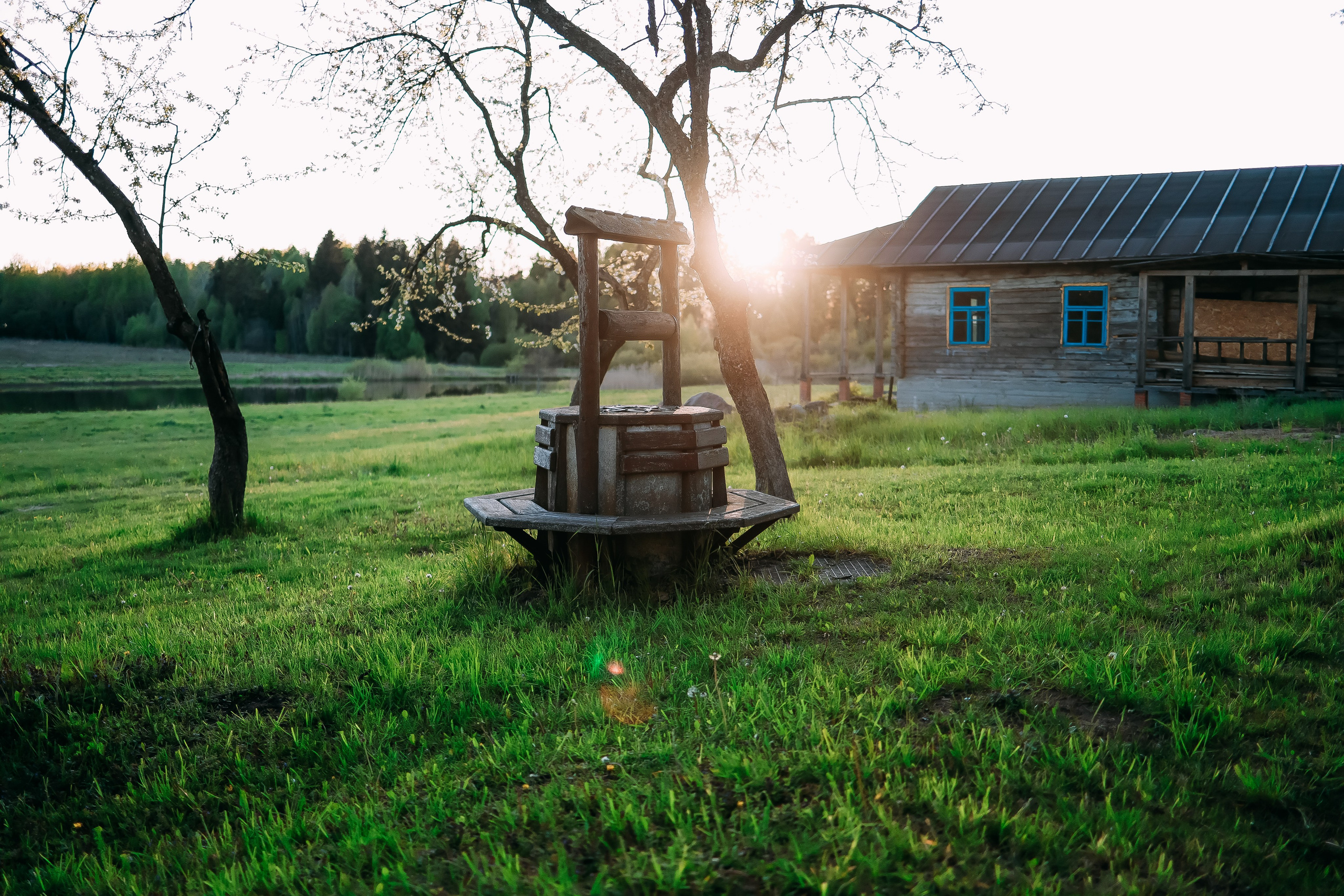 Белые Луга. Детский и семейный фотограф Малых Ольга г. Салехард