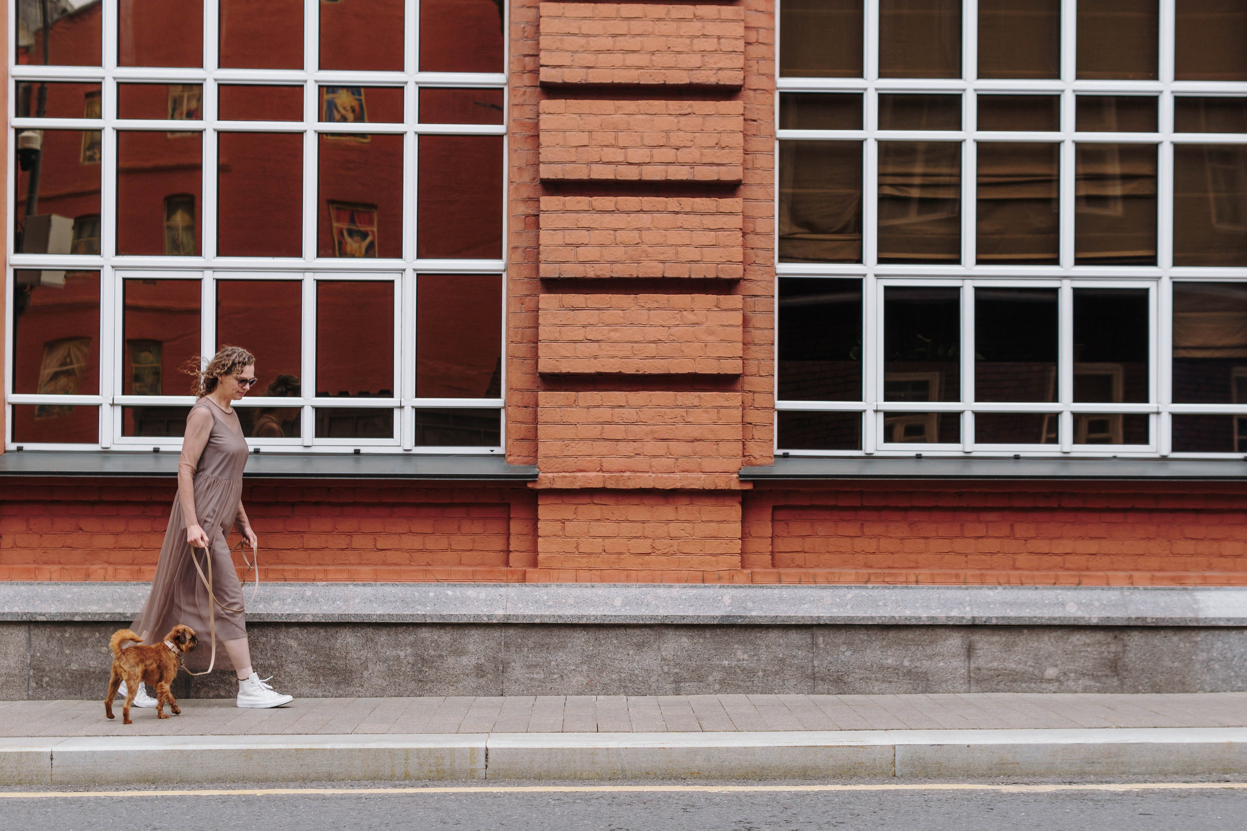 Наташа, Сережа и Хавьер. Фотограф-анималист Ксения Воробьева, Москва