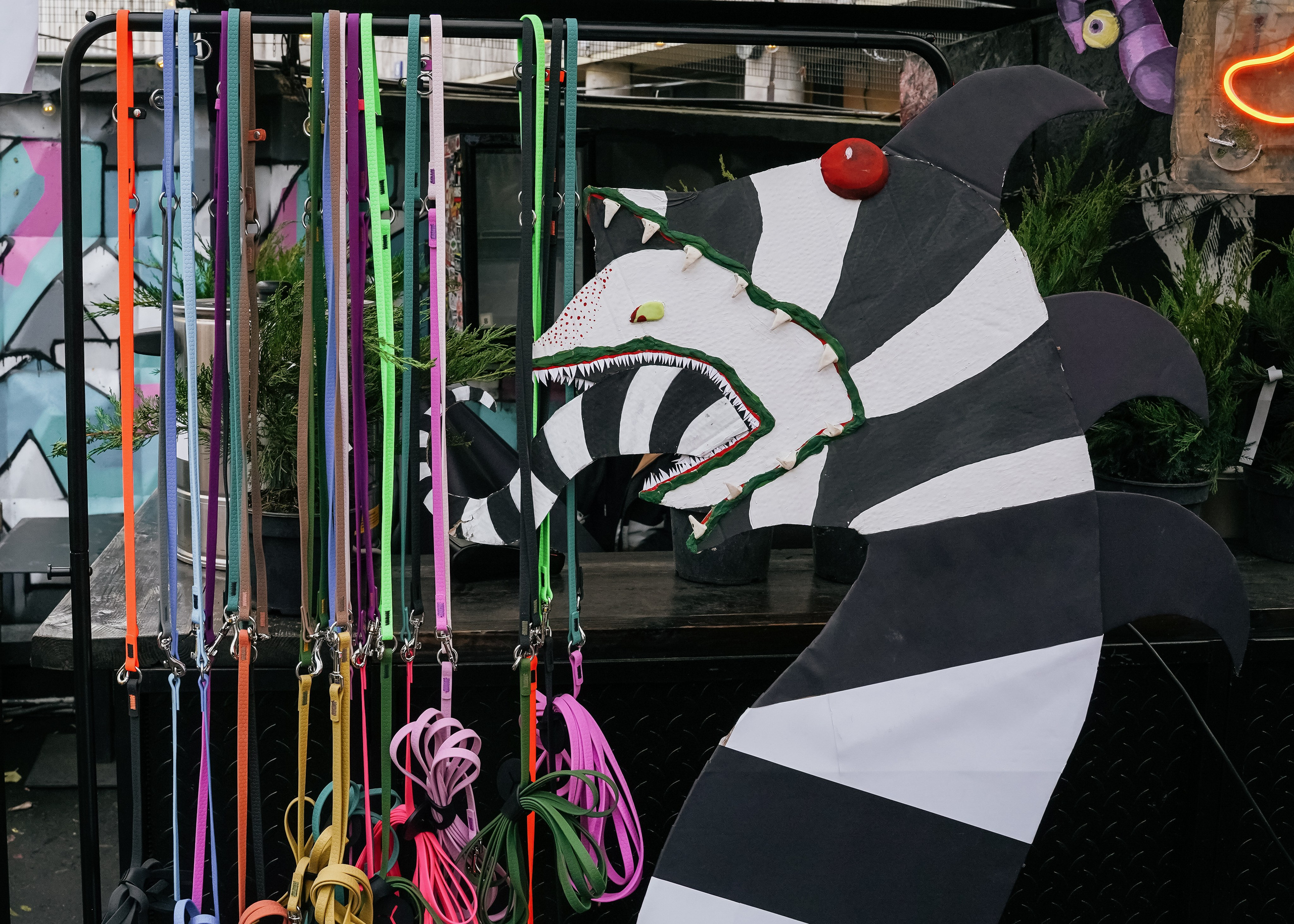 Тематическая встреча породников «Griffween». Фотограф-анималист Ксения Воробьева, Москва