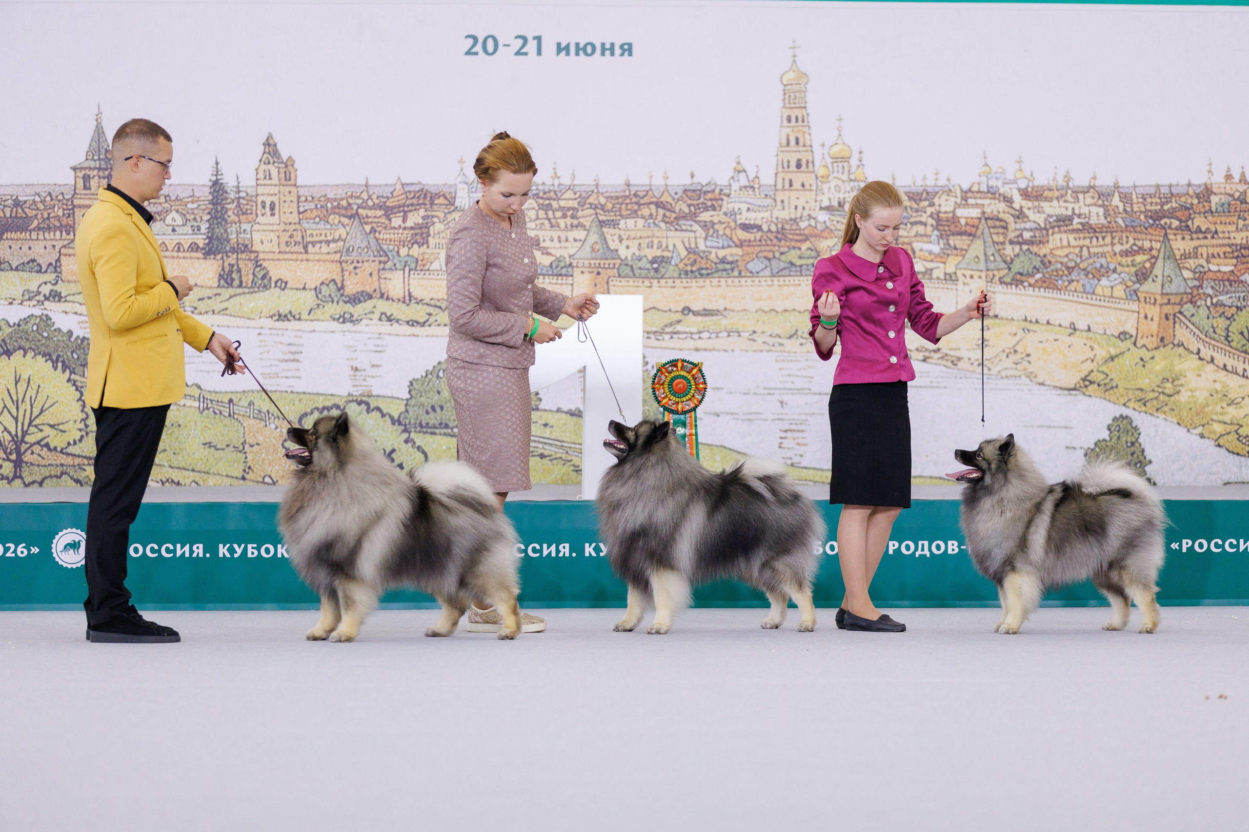Выставки. Фотограф-анималист в Калуге Мария Шерскова