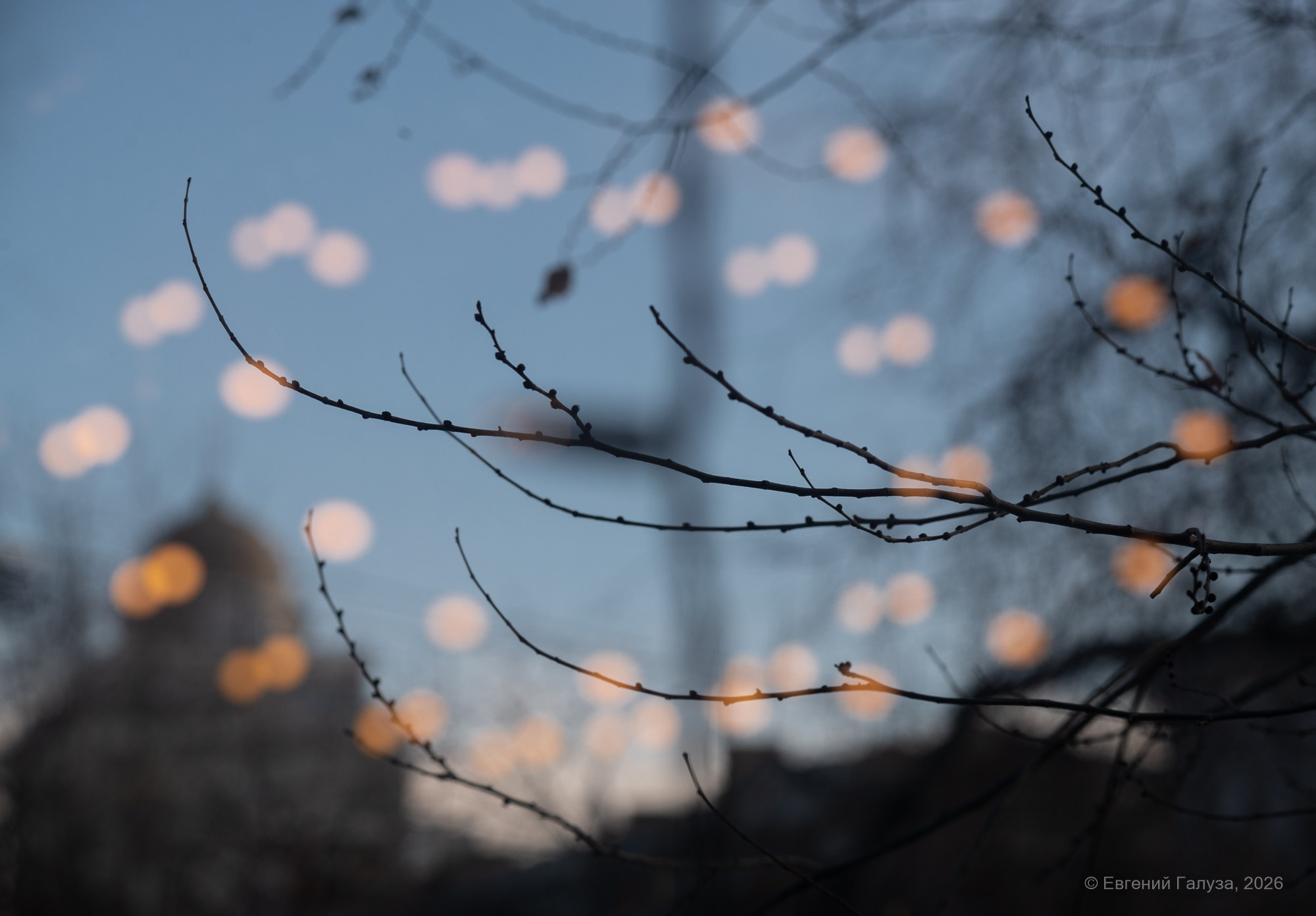 Масленица 2026 в Чите. Репортажный фотограф г. Чита