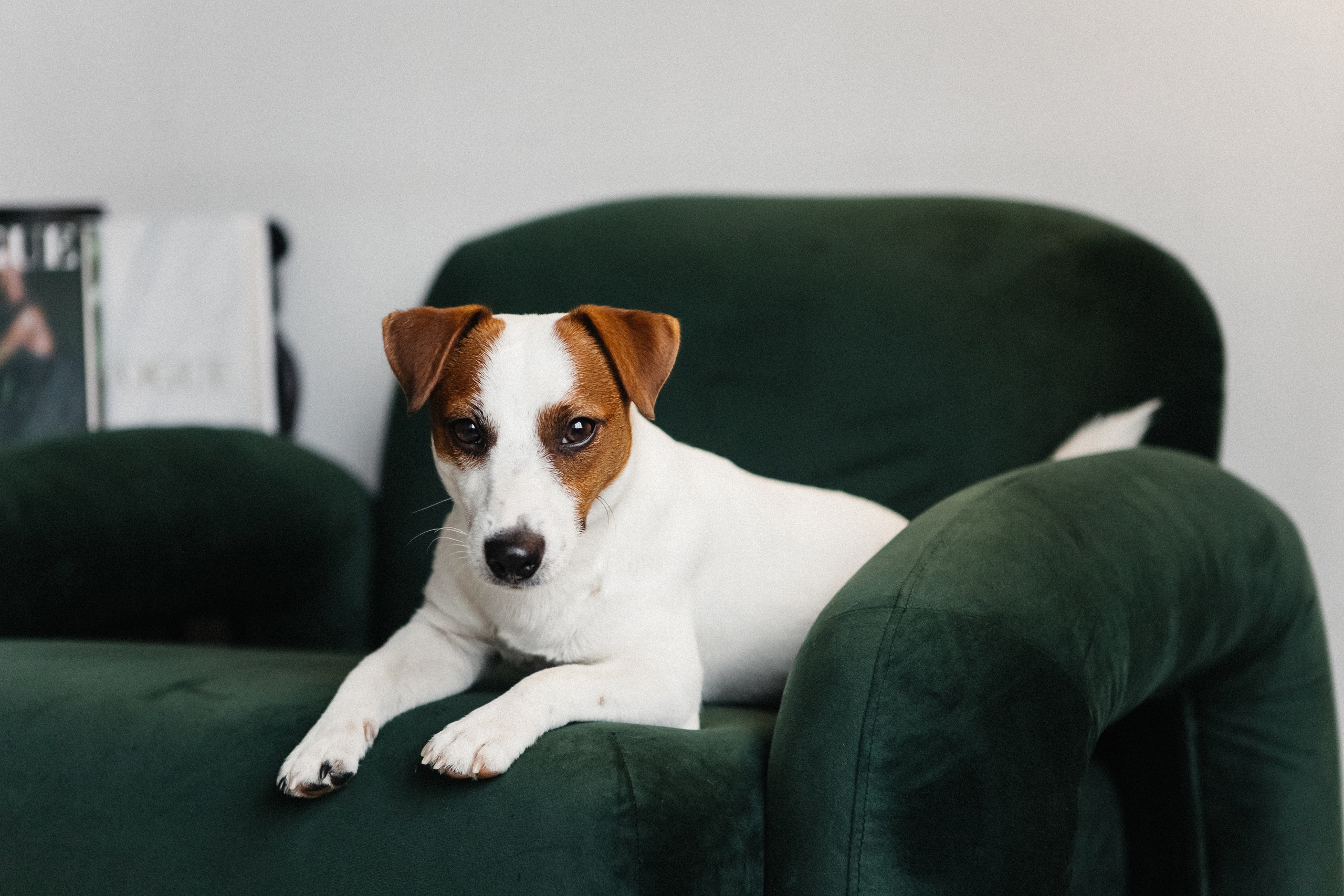 2024.03.24 Танюша, Руслан и Боба. Ирина Бешляга. Фотограф в Москве и по всей России