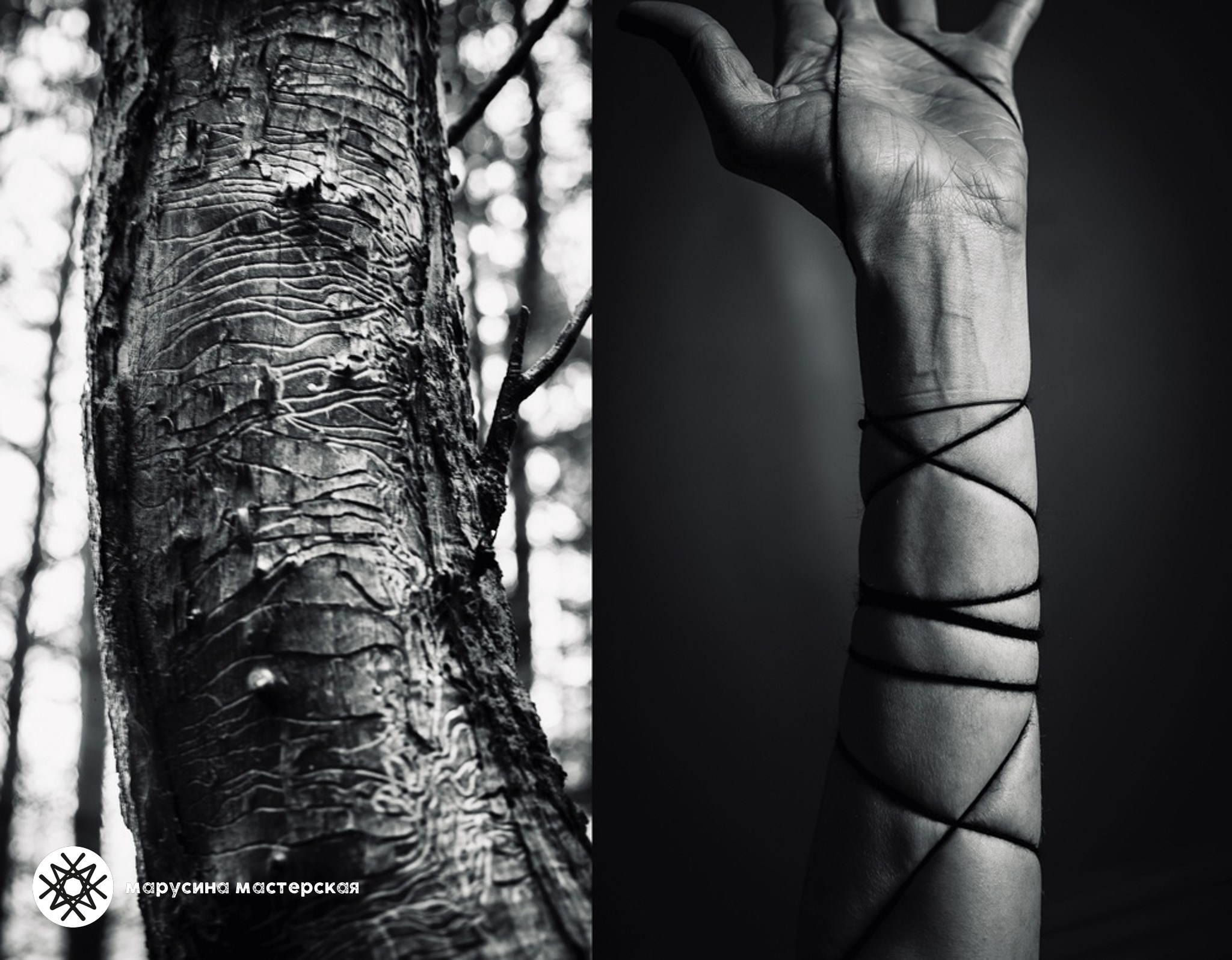 Алина Санду