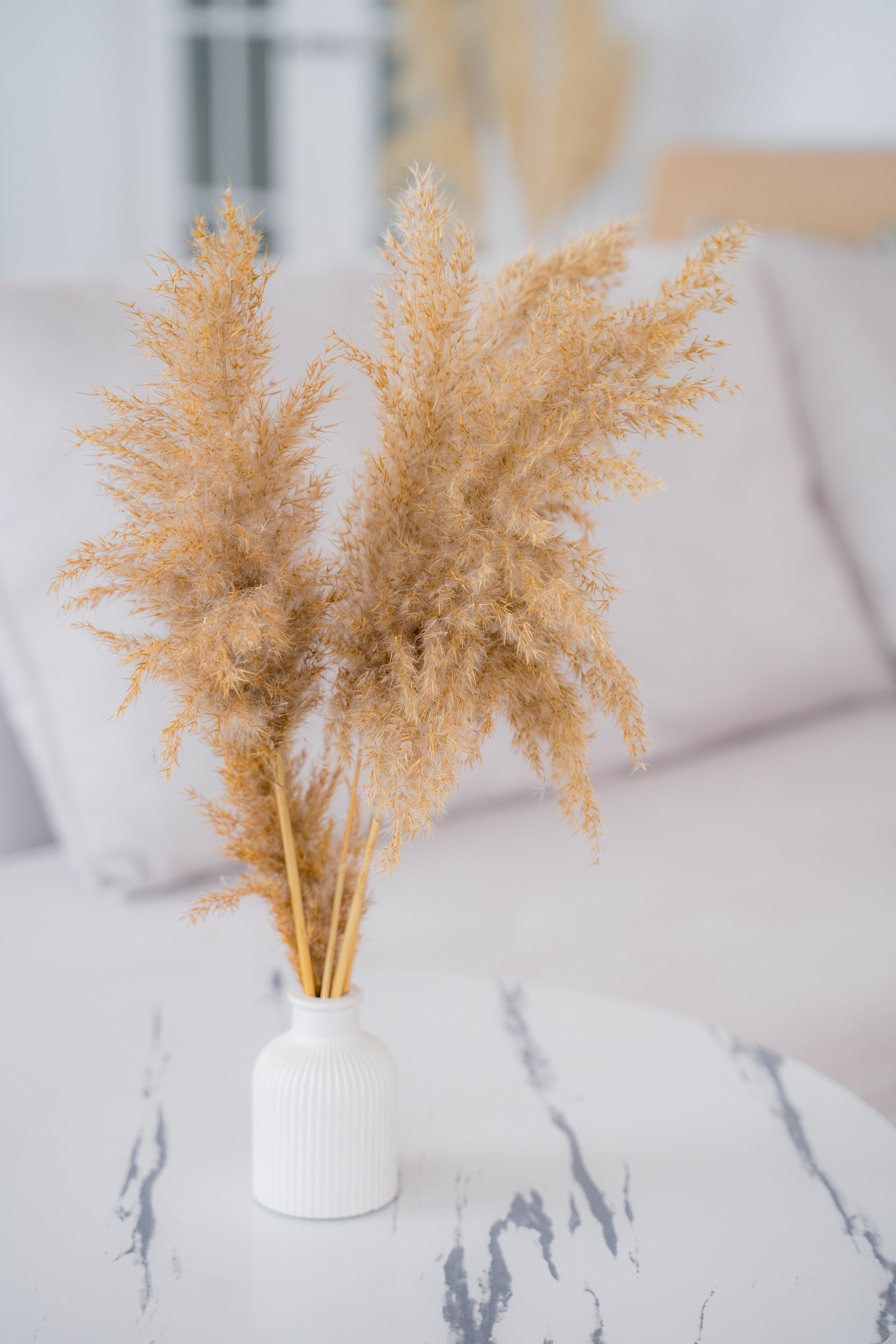 Фотостудия. Фотостудия Малина в городе Улан-Удэ. Фотограф Ирина Жарникова