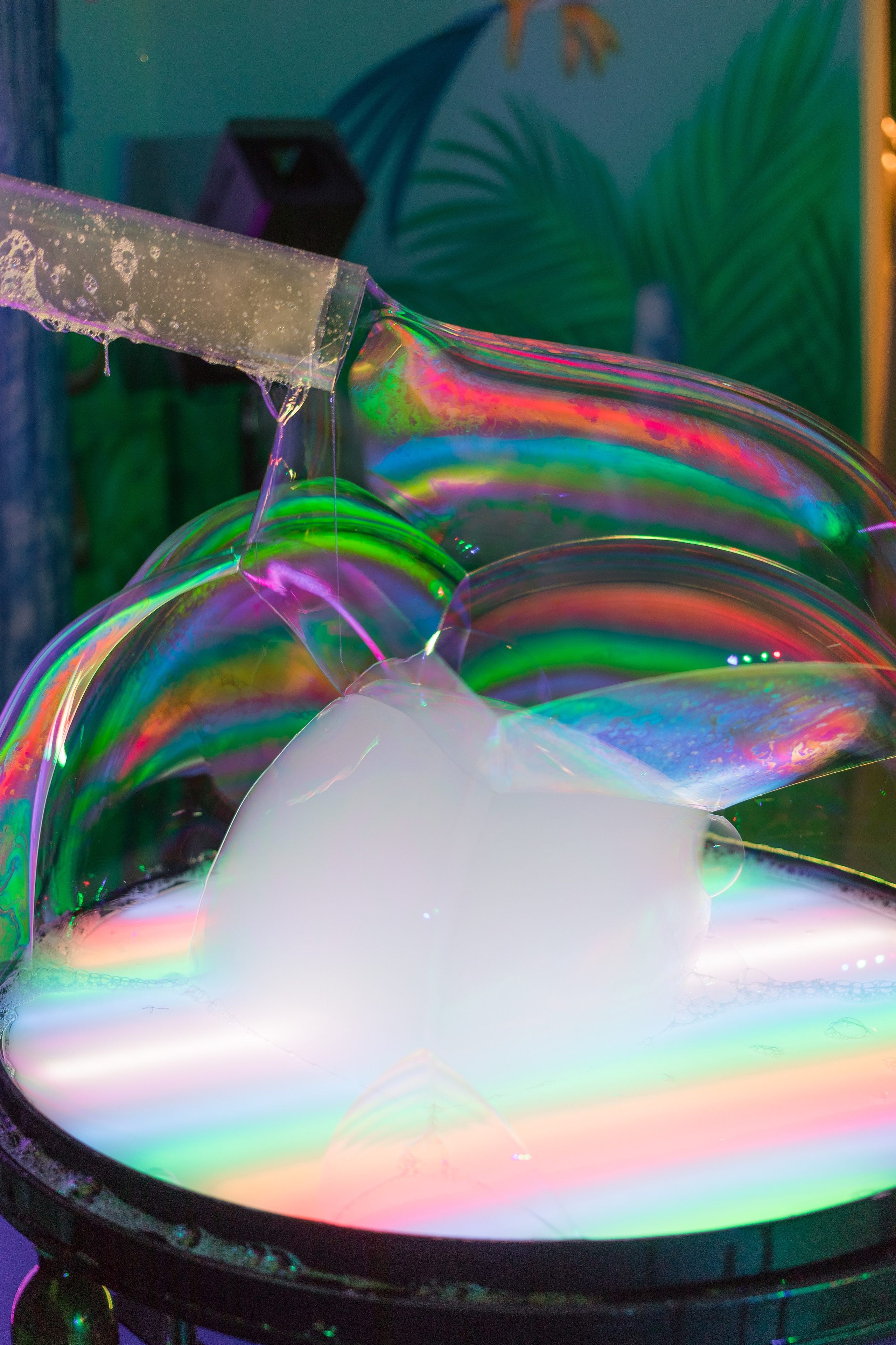 Крис 6 лет. Фотограф Алина Гашникова