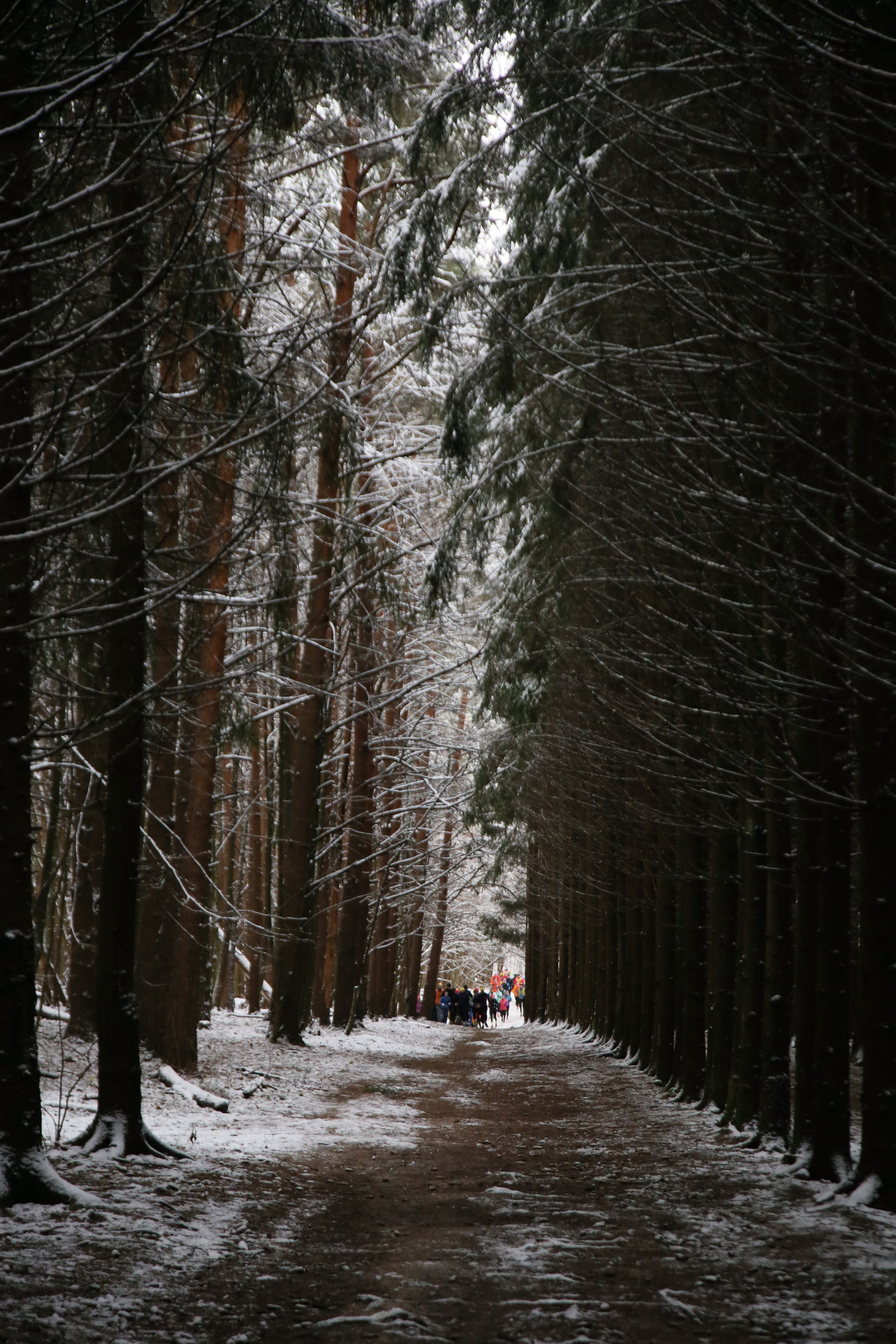 Репортажная съемка. Фотограф Диана Иремадзе