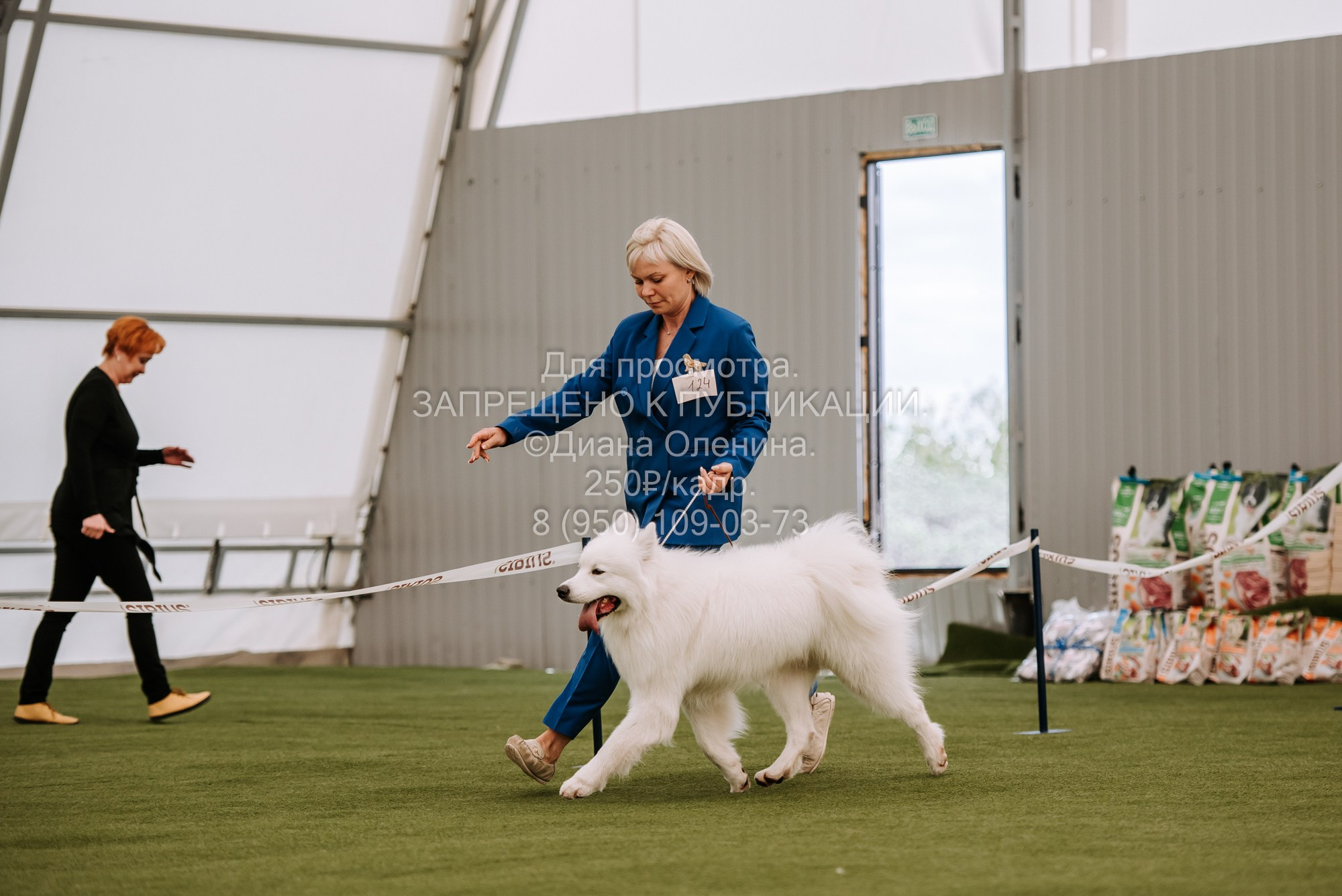 Выставка собак Красноярск 2.06. Фотограф Диана Оленина Красноярск / Братск