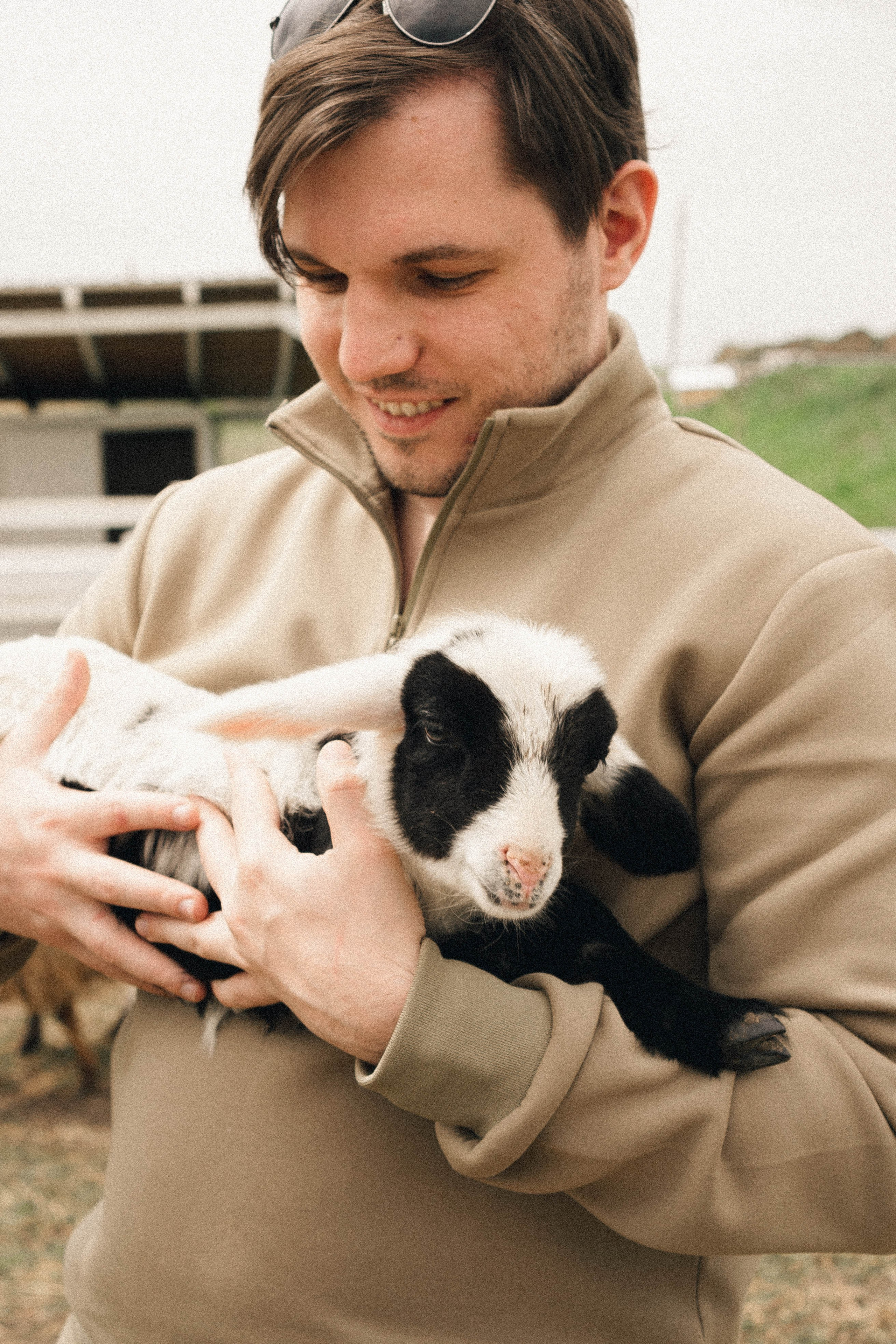 Ферма Альпак. Профессиональный фотограф, Санкт-Петербург — Виктория Богомолова