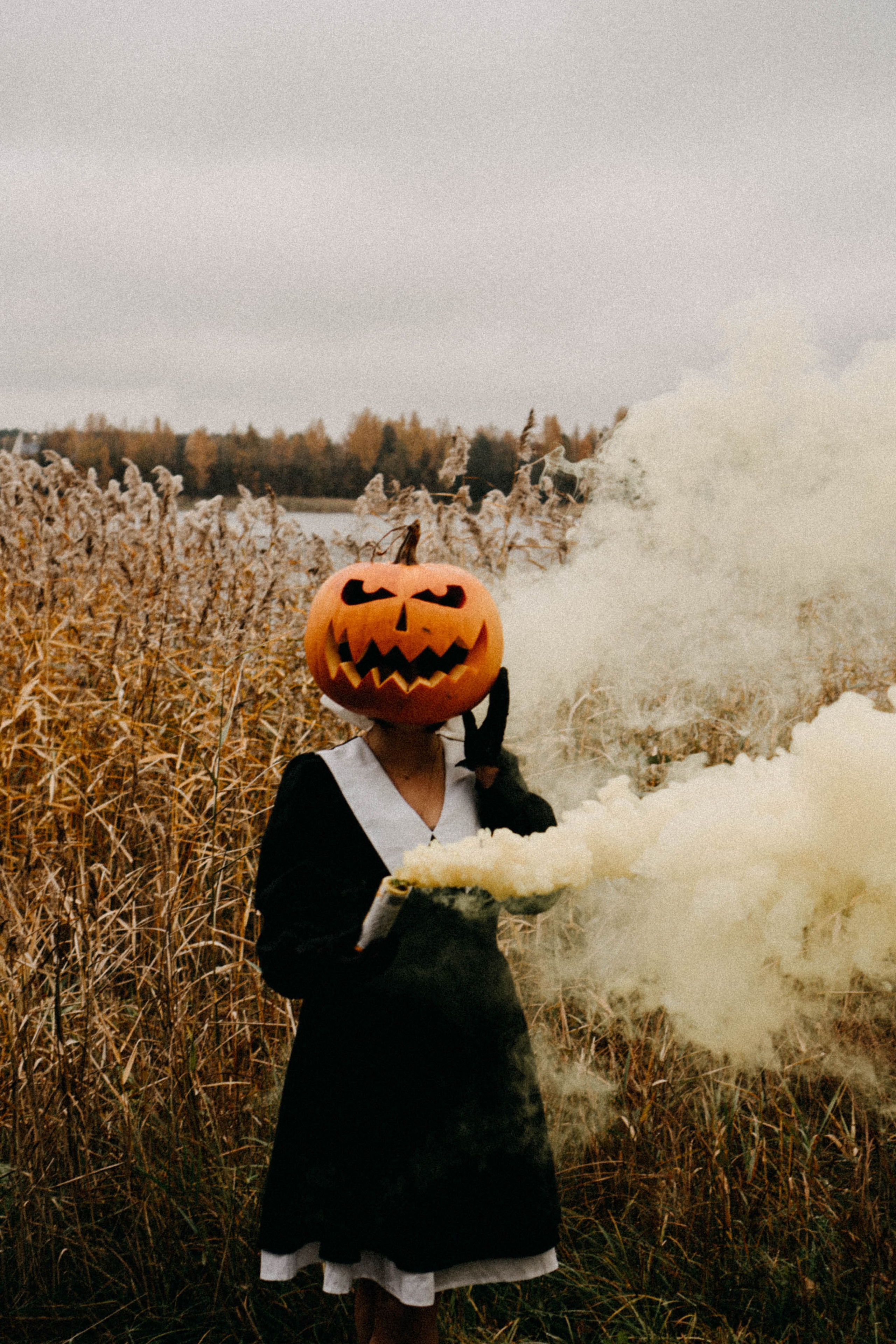 Осеняя. Профессиональный фотограф, Санкт-Петербург — Виктория Богомолова