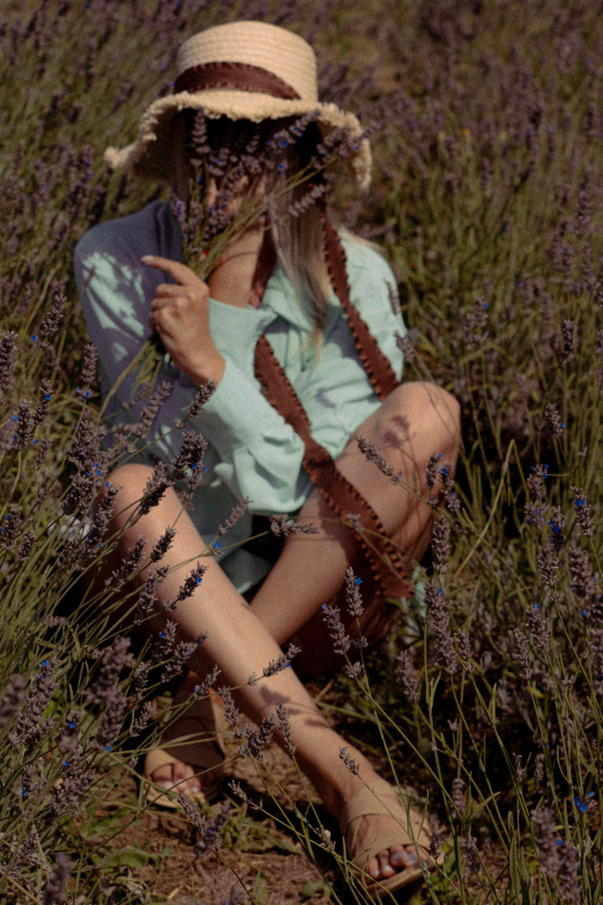 ЛАВАНВОДОВОЕ ПОЛЕ. Профессиональный фотограф, Санкт-Петербург — Виктория Богомолова