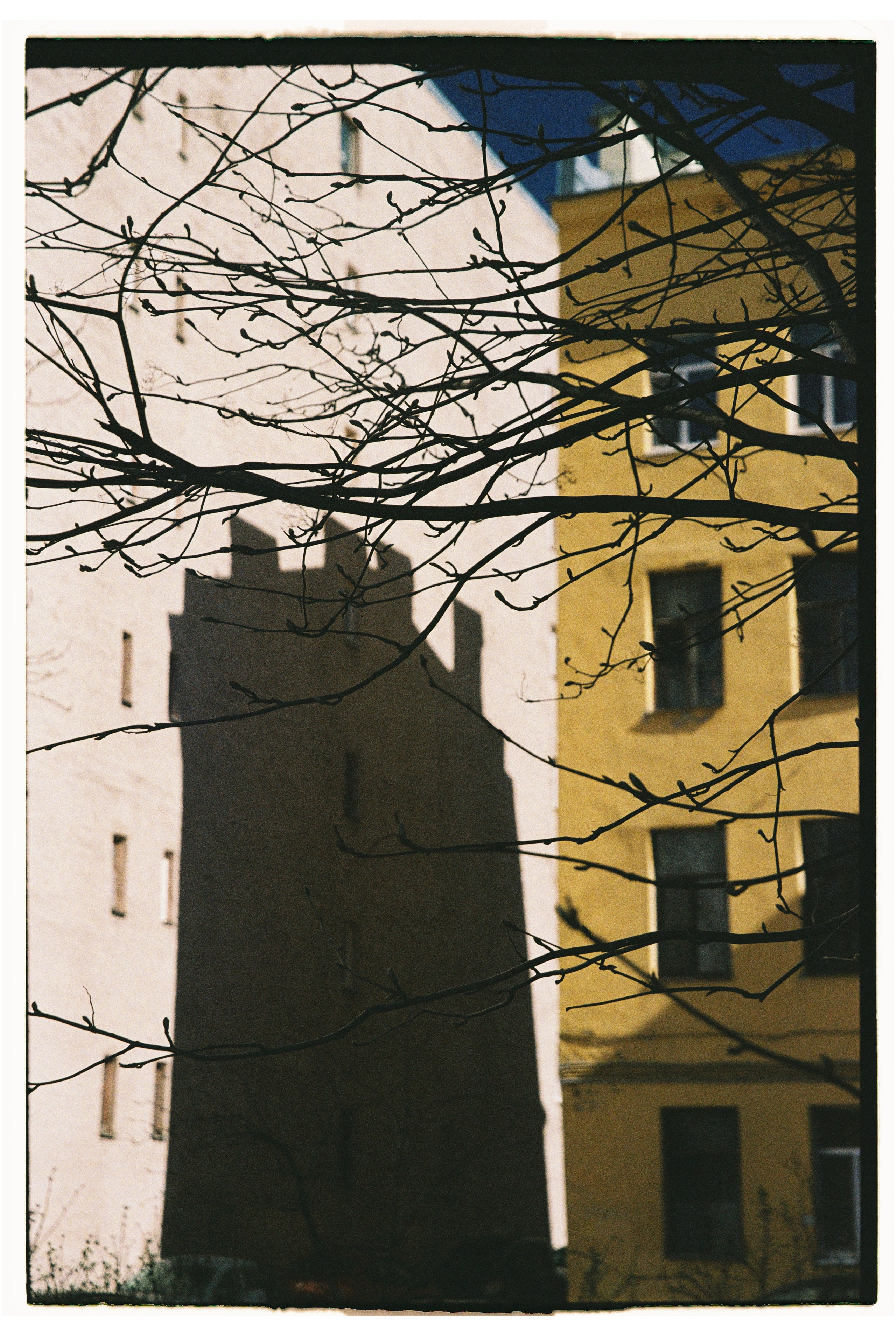 Film. Photographer, Masha Berliner